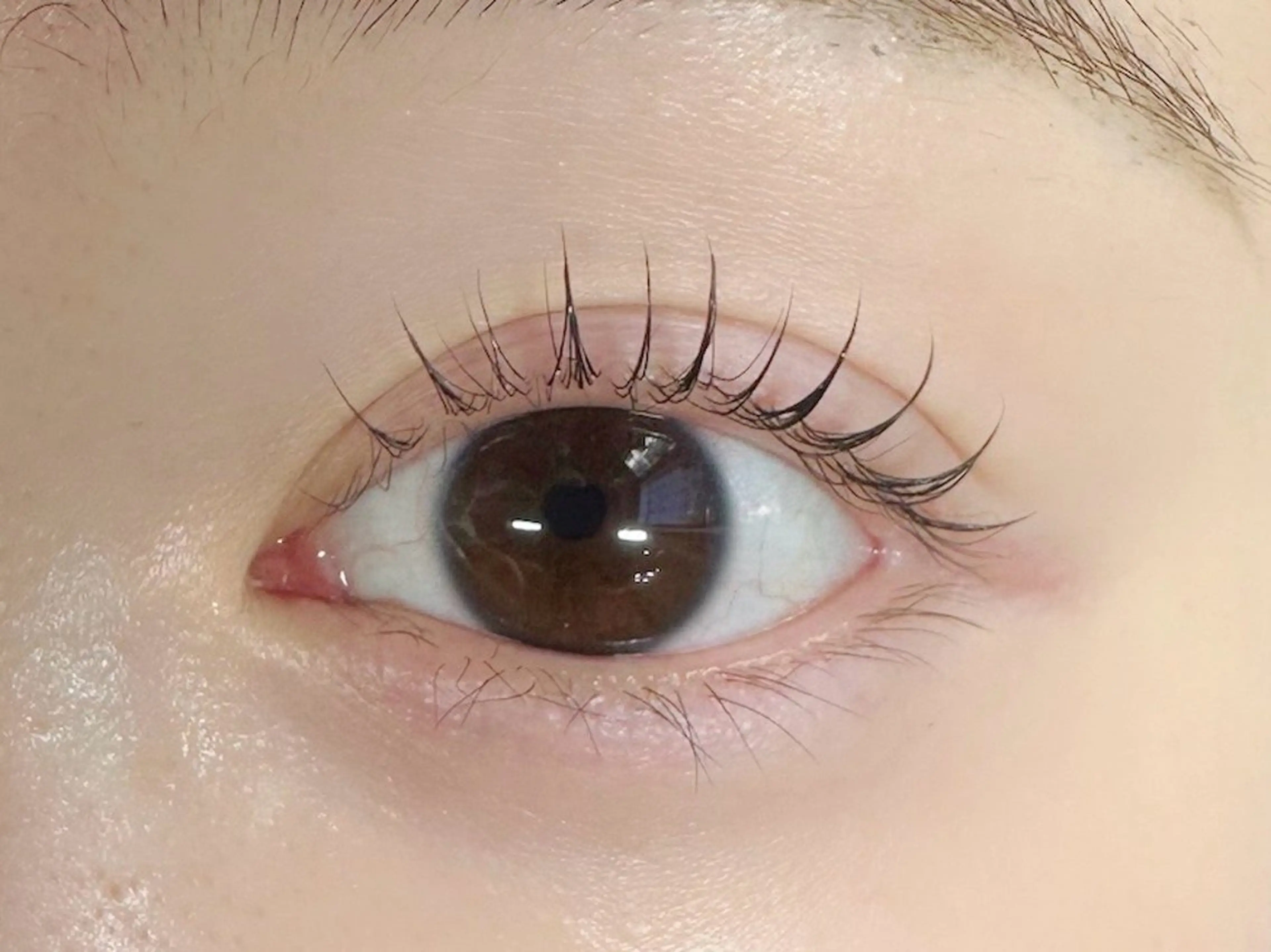 マツエク・マツパ マツパ egerie 恵比寿 /KANAのマツエク・マツパデザイン