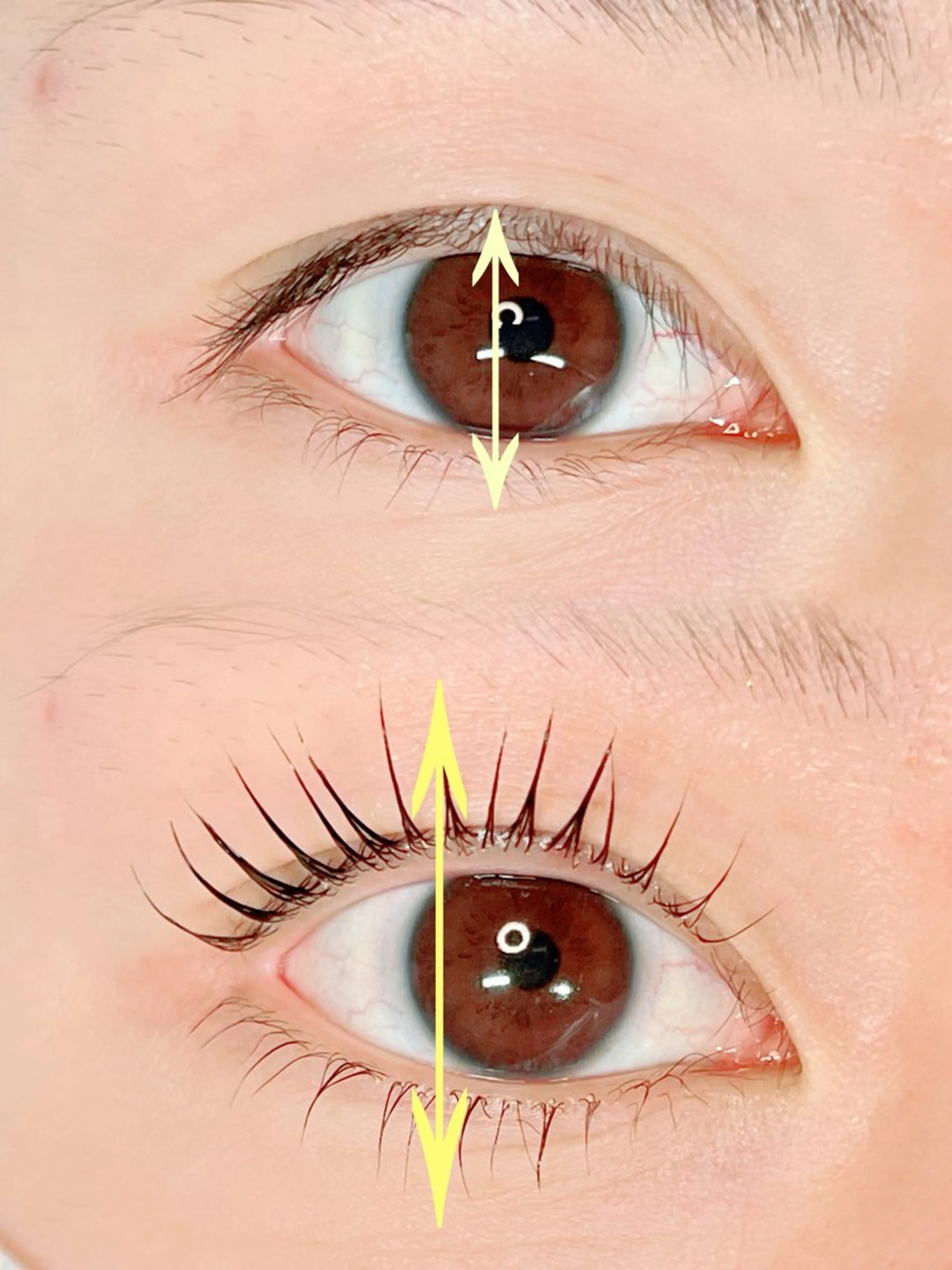 マツエク・マツパ 🌈ALEUM.🌈 アルムのマツエク・マツパデザイン