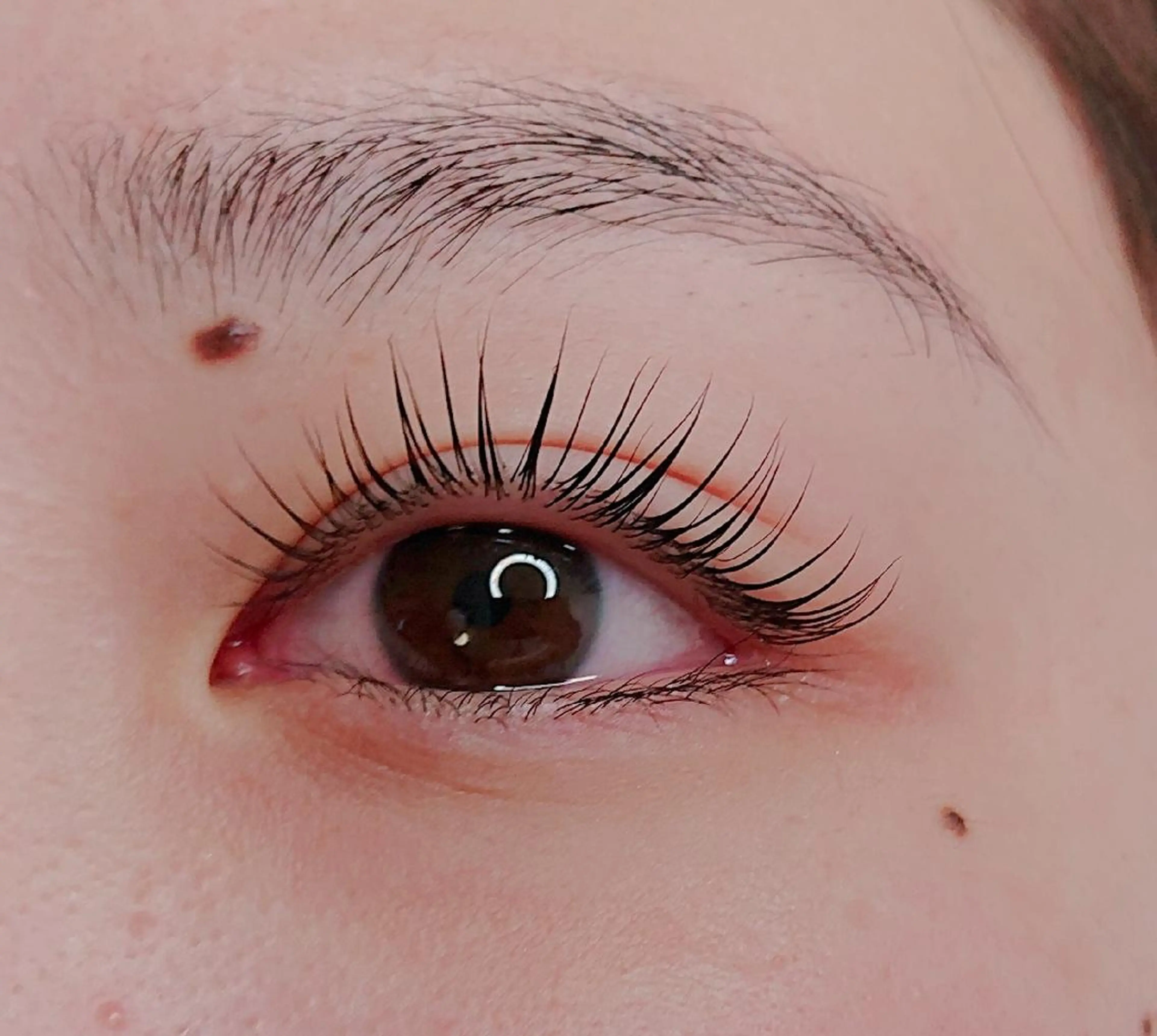 マツエク・マツパ 犬飼 統子の眉毛・アイブロウイメージ