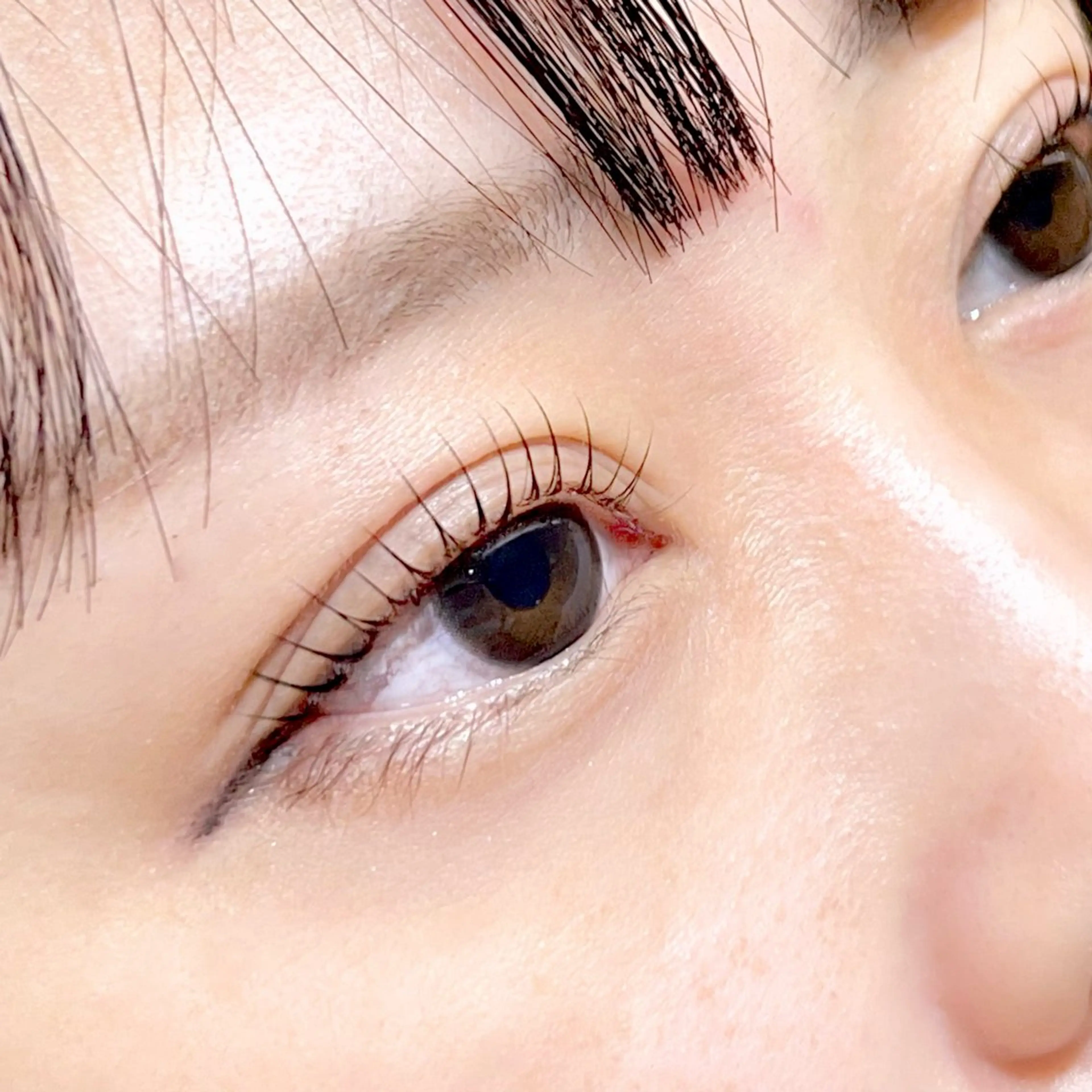 マツエク・マツパ マツパ Fukushi📍 【5/31最終出勤】のマツエク・マツパデザイン