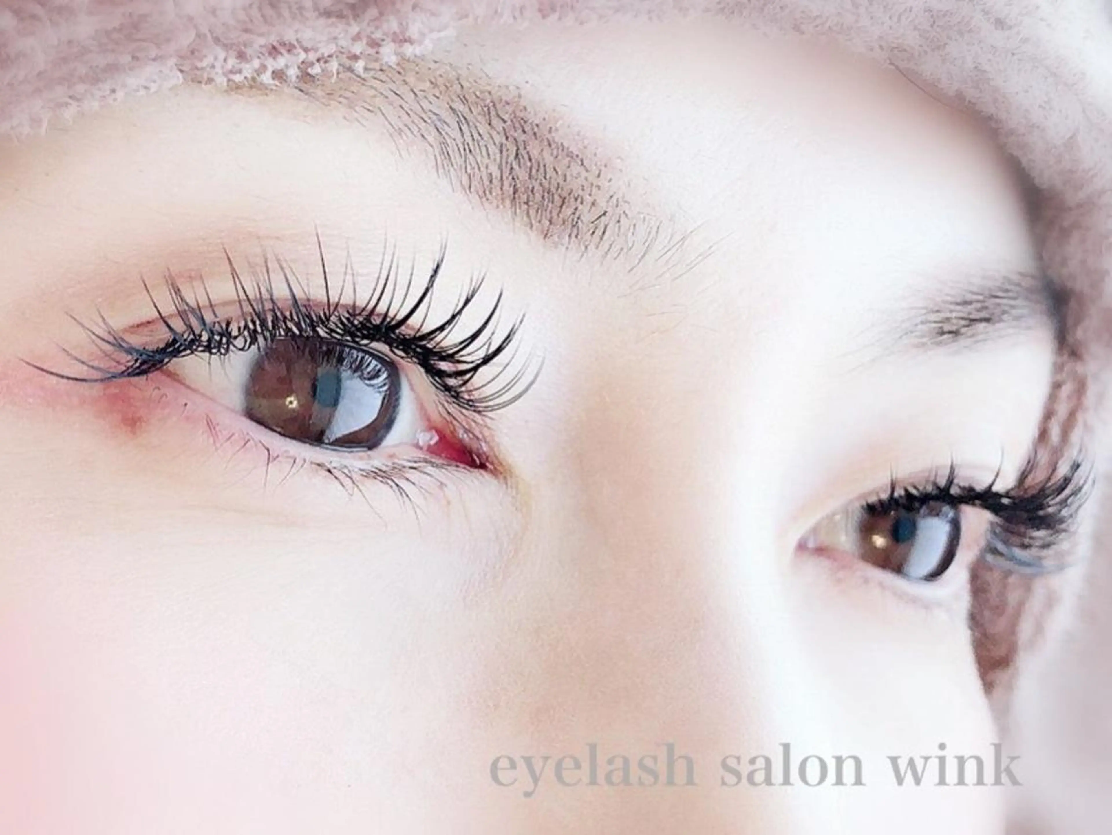 最高級セーブル120本(オフ込)の写真