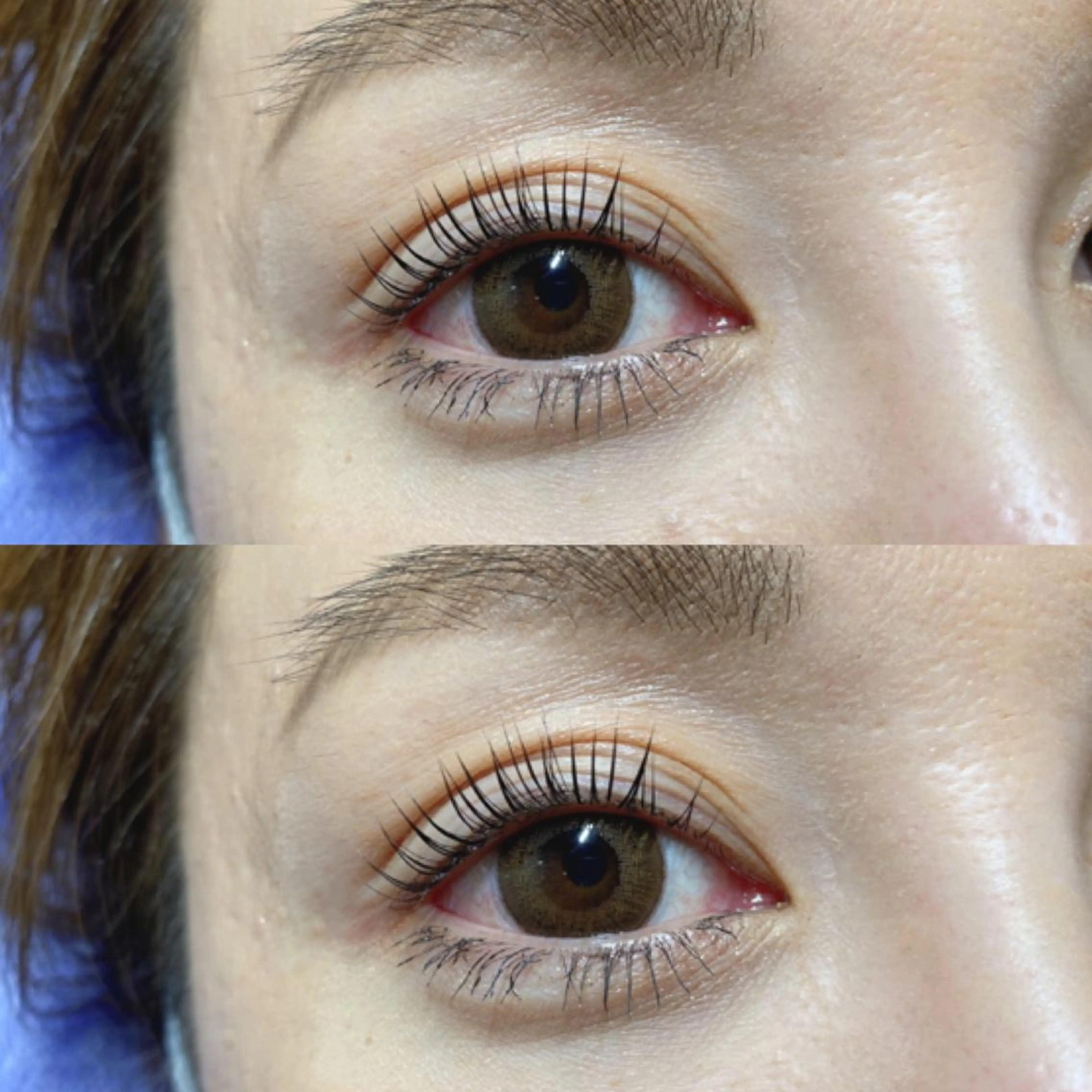 🔖LEDまつえく　最高級プレミアムフラットラッシュ上下(オフ無料)持続力UP！超軽量毛！の写真