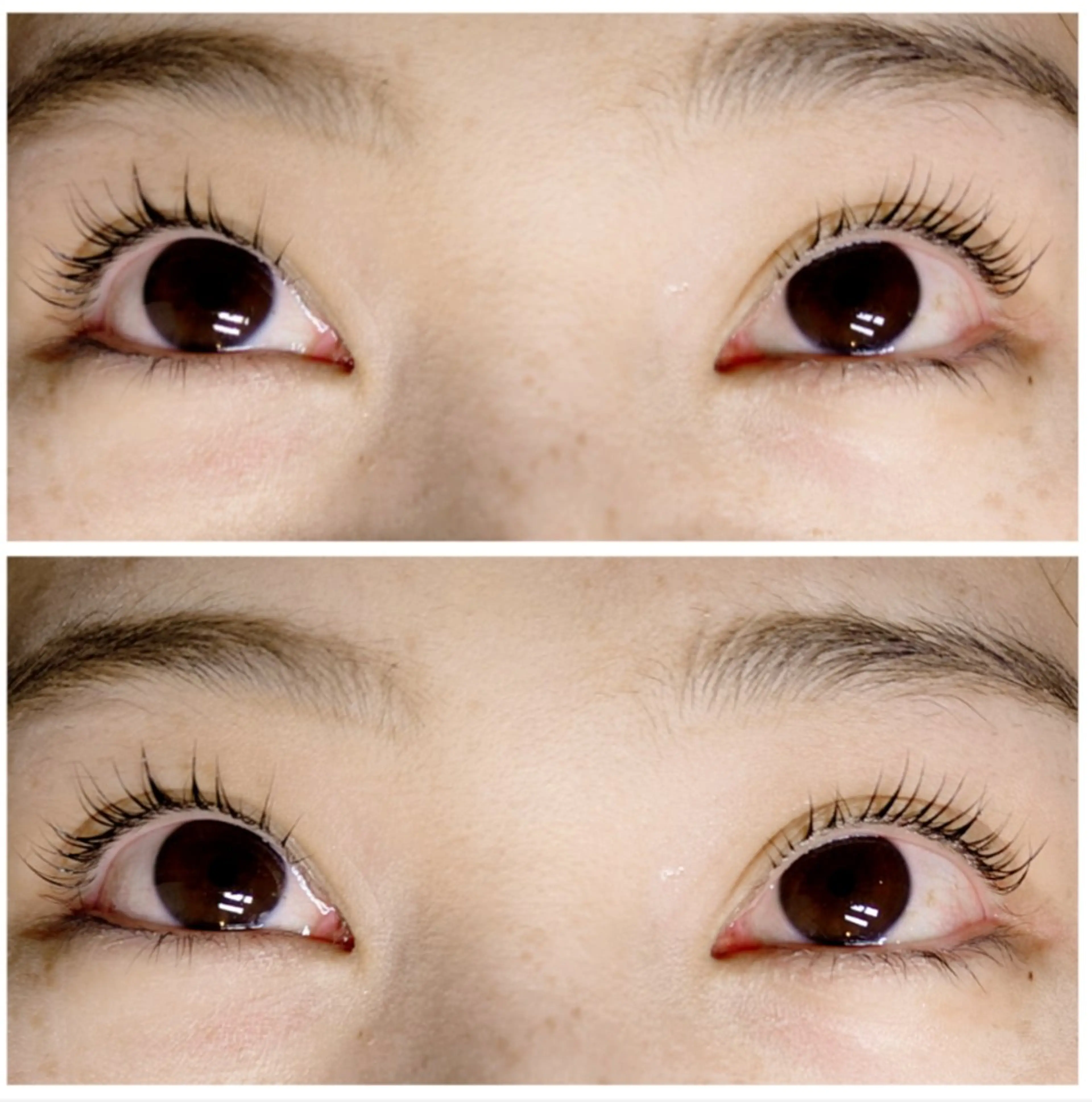 マツエク・マツパ まつパでマツ育 DRAMAの眉毛・アイブロウイメージ