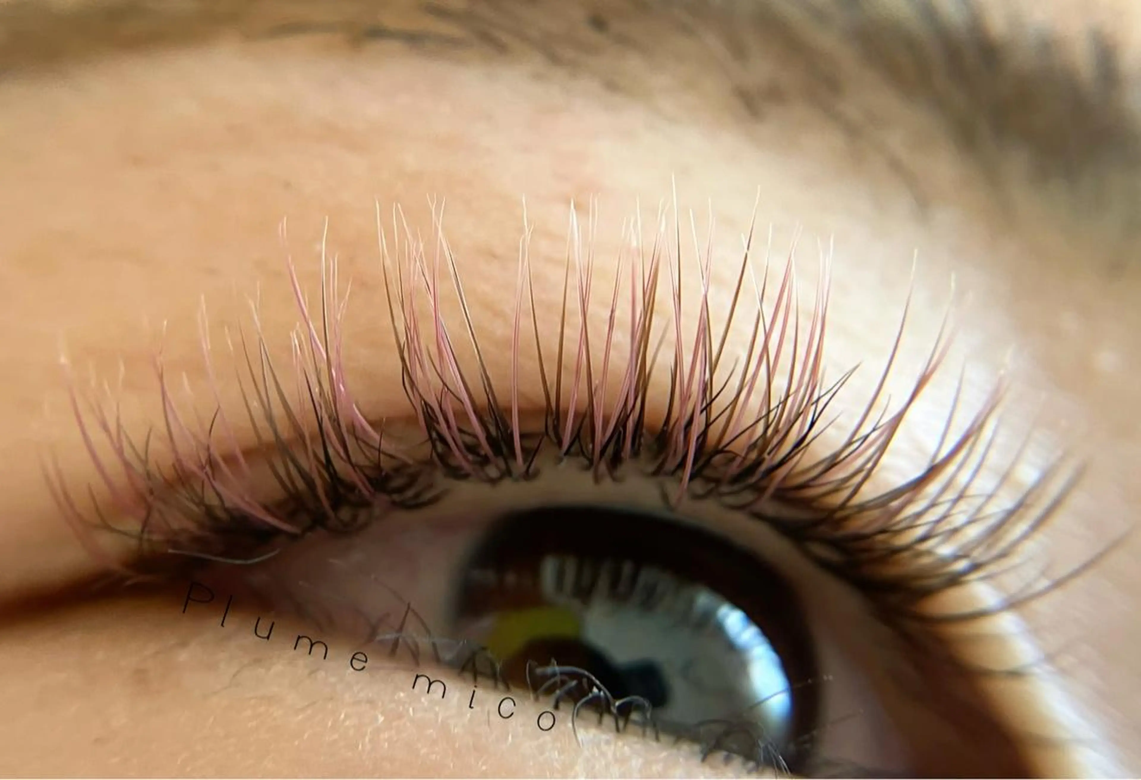 マツエク・マツパ マツエク Plume micoのマツエク・マツパデザイン