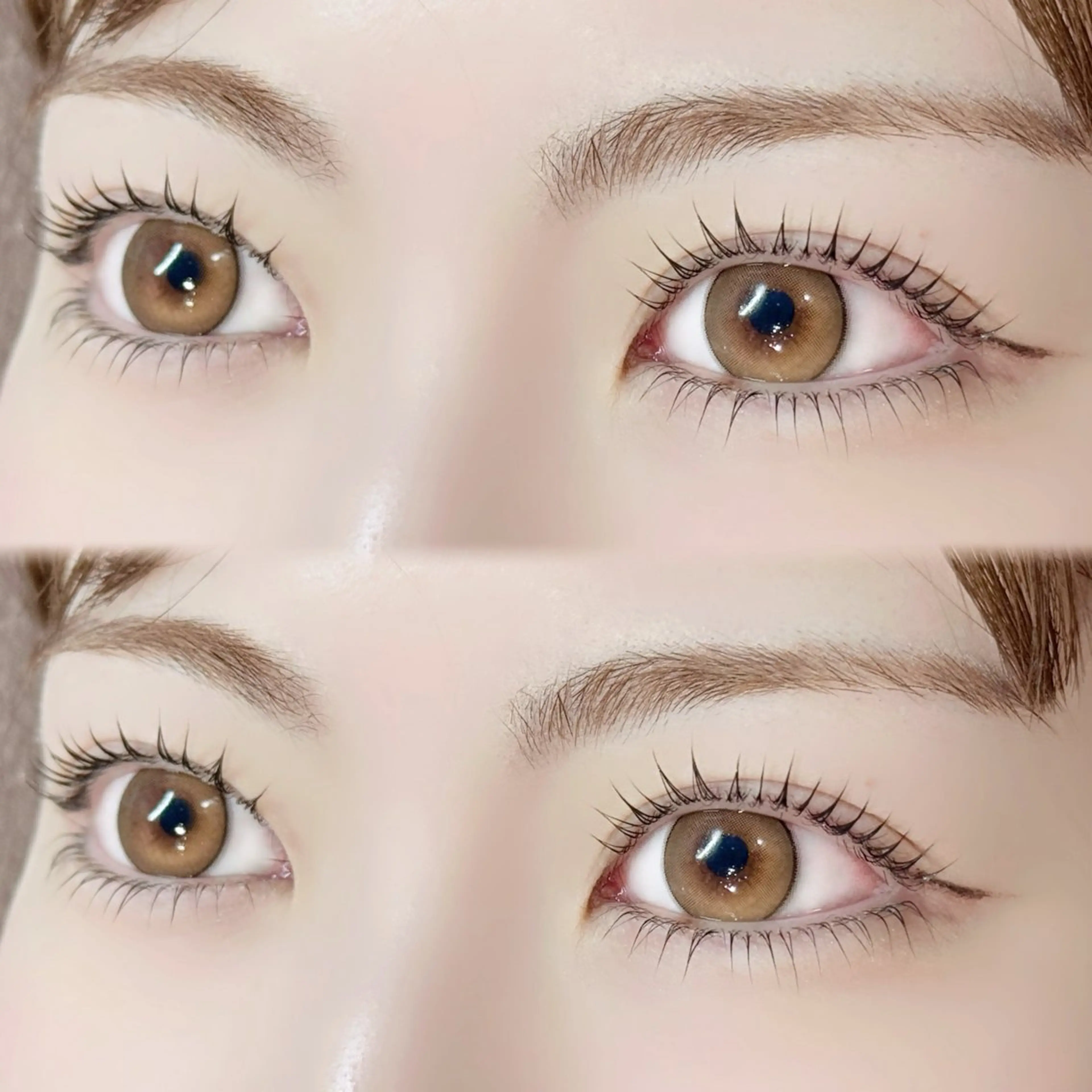 《初回限定》上下ラッシュリフト✨の写真