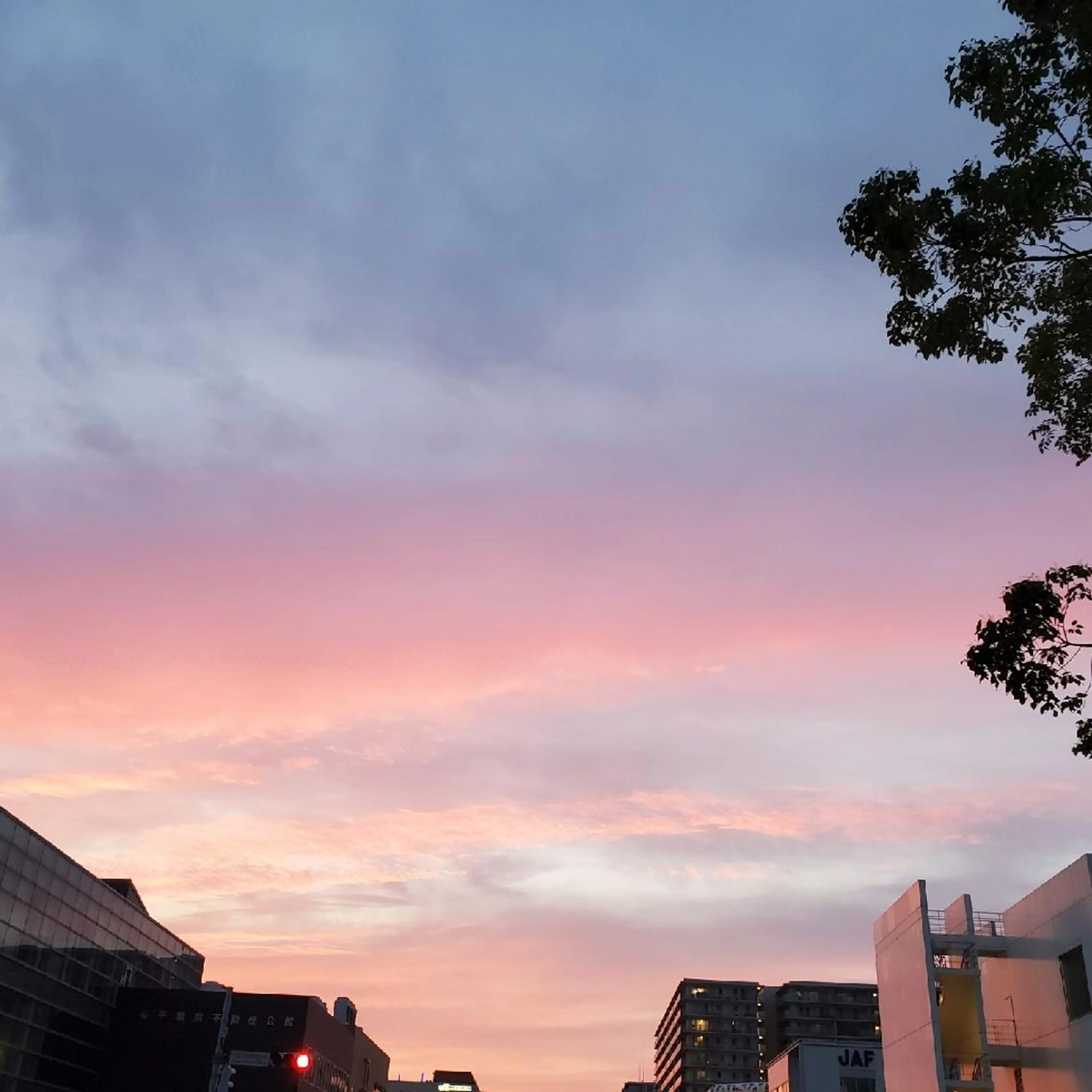 谷 結奈のヘアスタイル