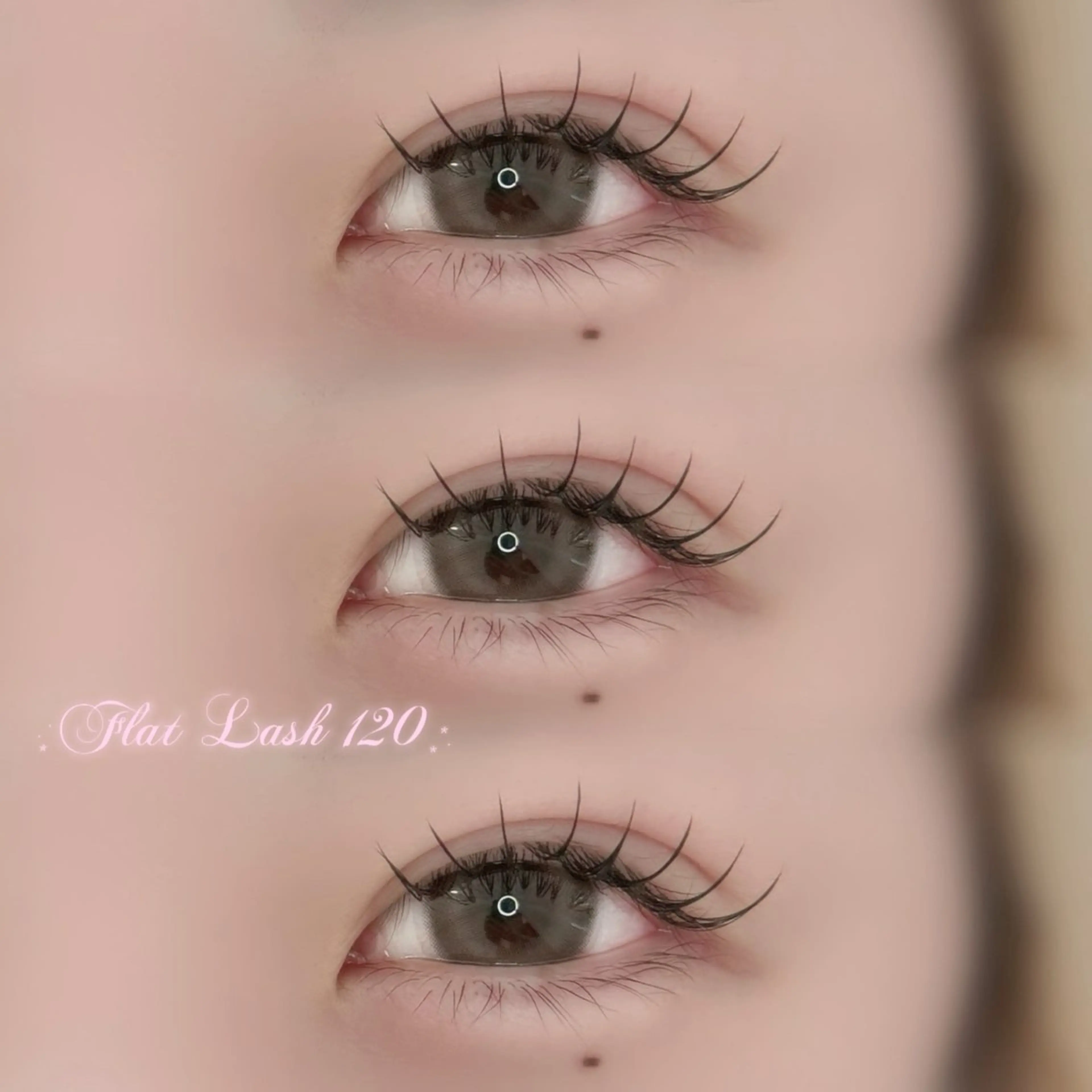 フラットラッシュ120本🎀(片目60本ずつ)の写真
