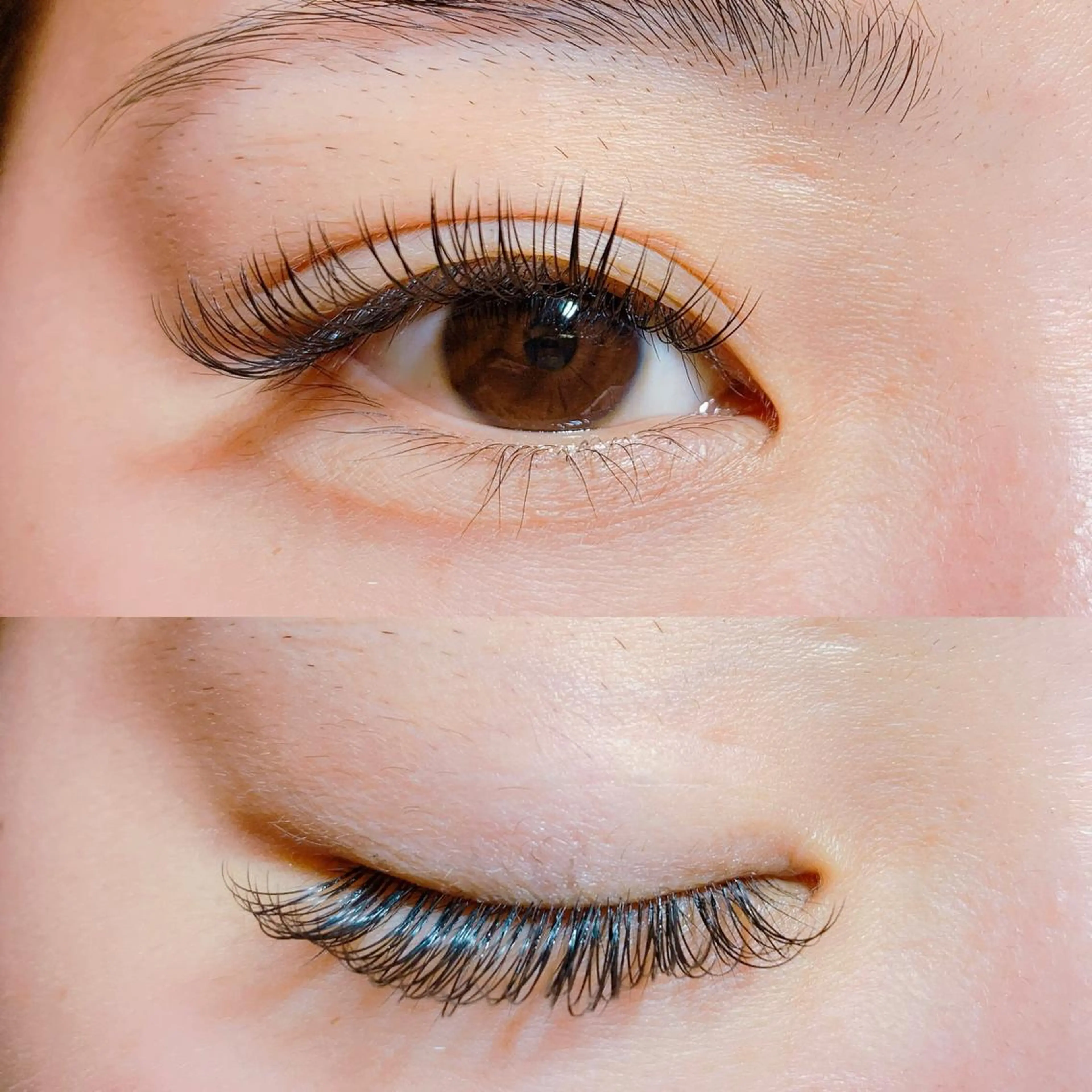 ★高持続ダブルフラットラッシュ100束まで★¥8800の写真