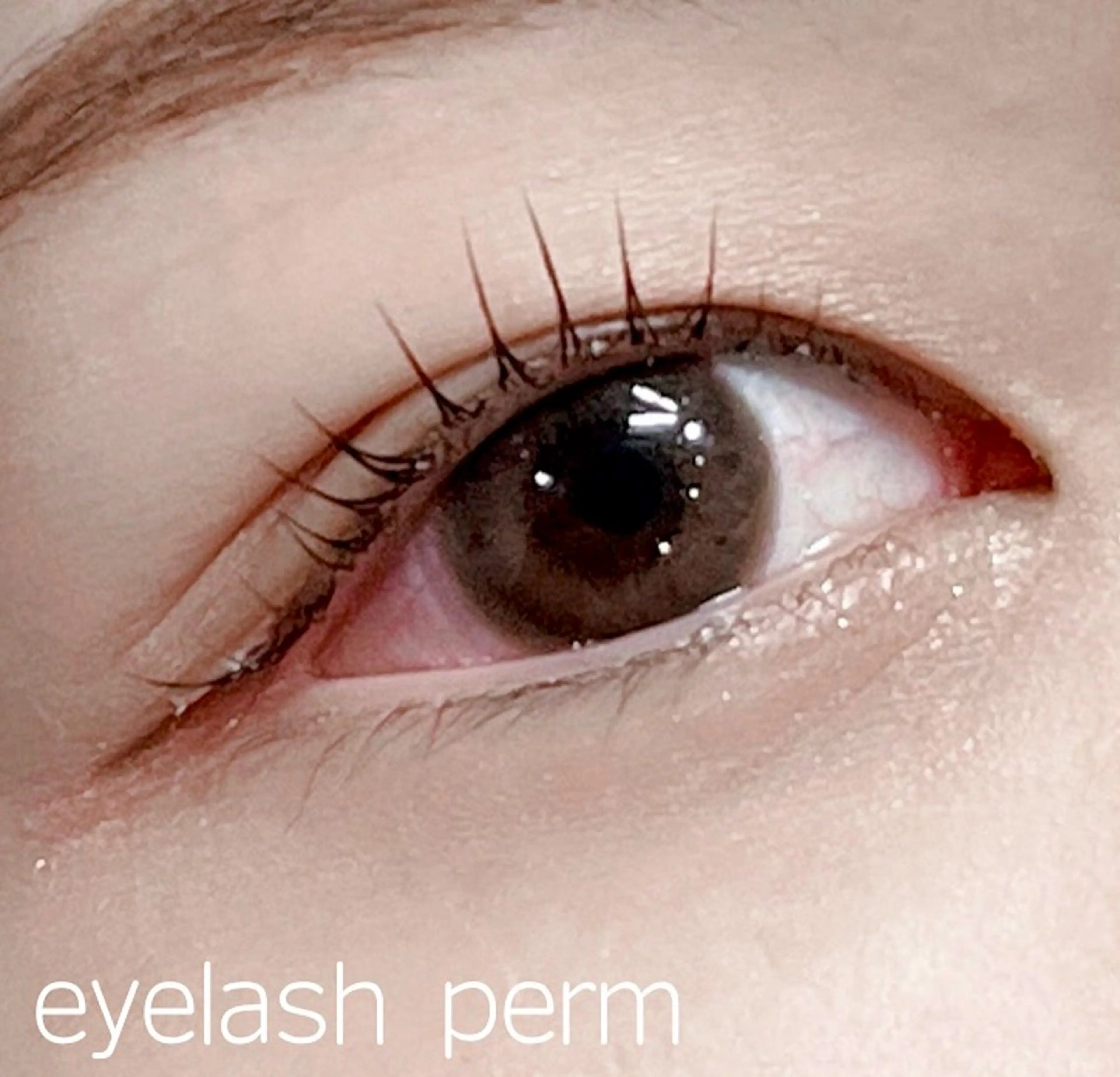 マツエク・マツパ まつげパーマ 一重×まつ毛パーマ 成増北口PRADE saiのマツエク・マツパデザイン