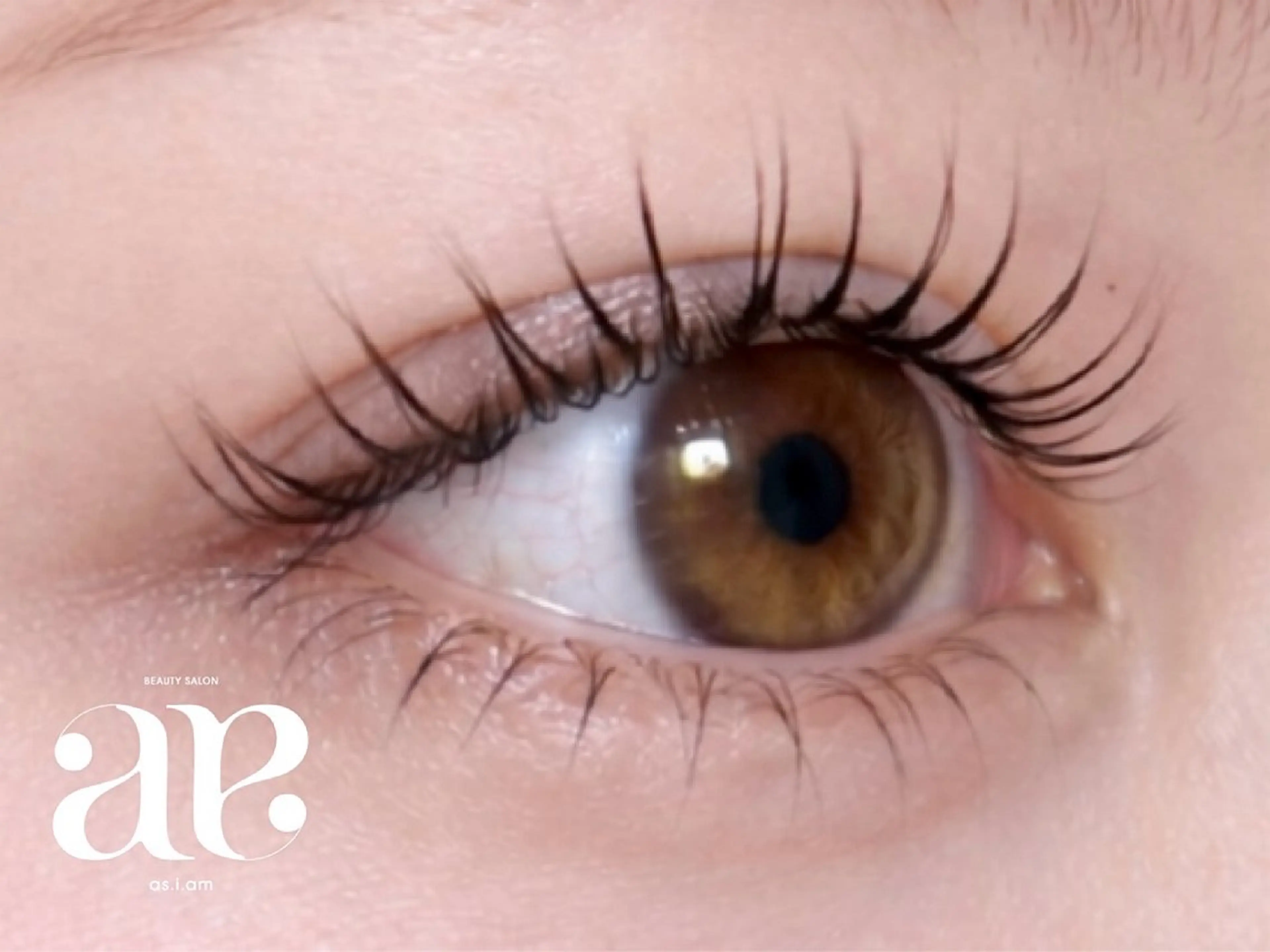 【最新美容☆マスカラパーマ】まつ毛ティント+まつ毛パーマ(上)の写真