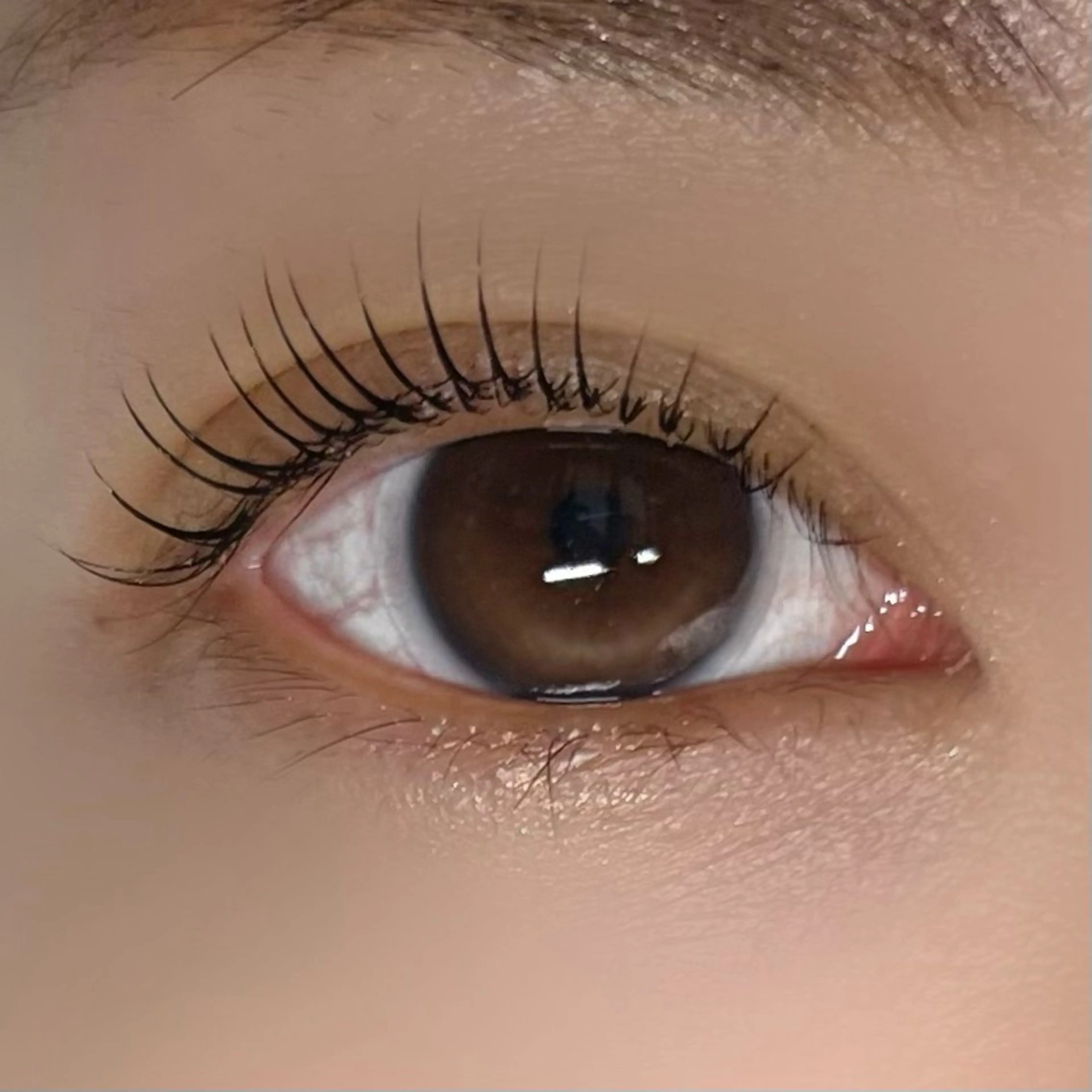 マツエク・マツパ 垢抜け眉WAX専門 ちゅるんまつげ|鎌倉の眉毛・アイブロウイメージ