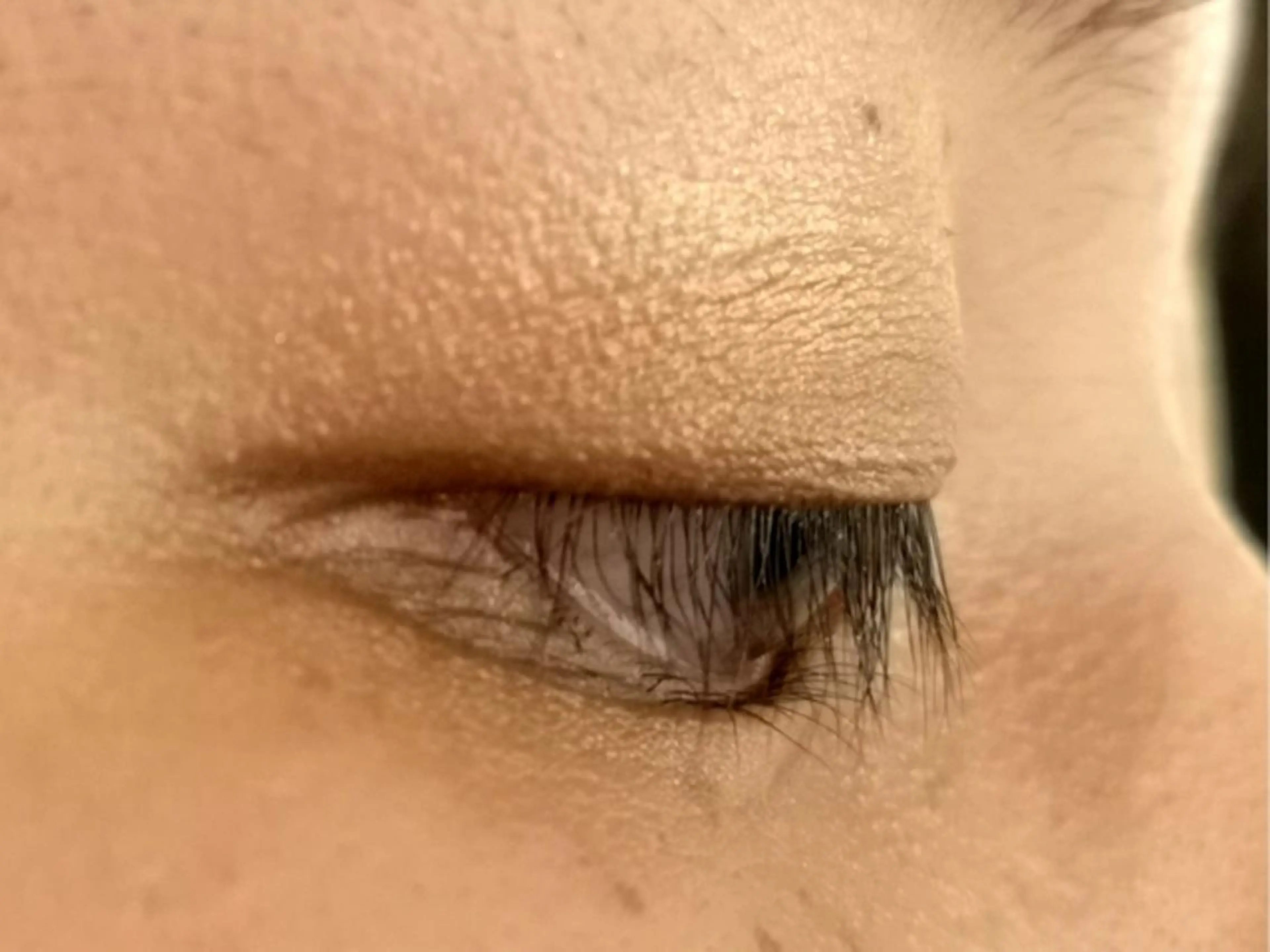 マツエク・マツパ 下まつげエクステ 一重×まつ毛パーマ リアン Lienのマツエク・マツパデザイン