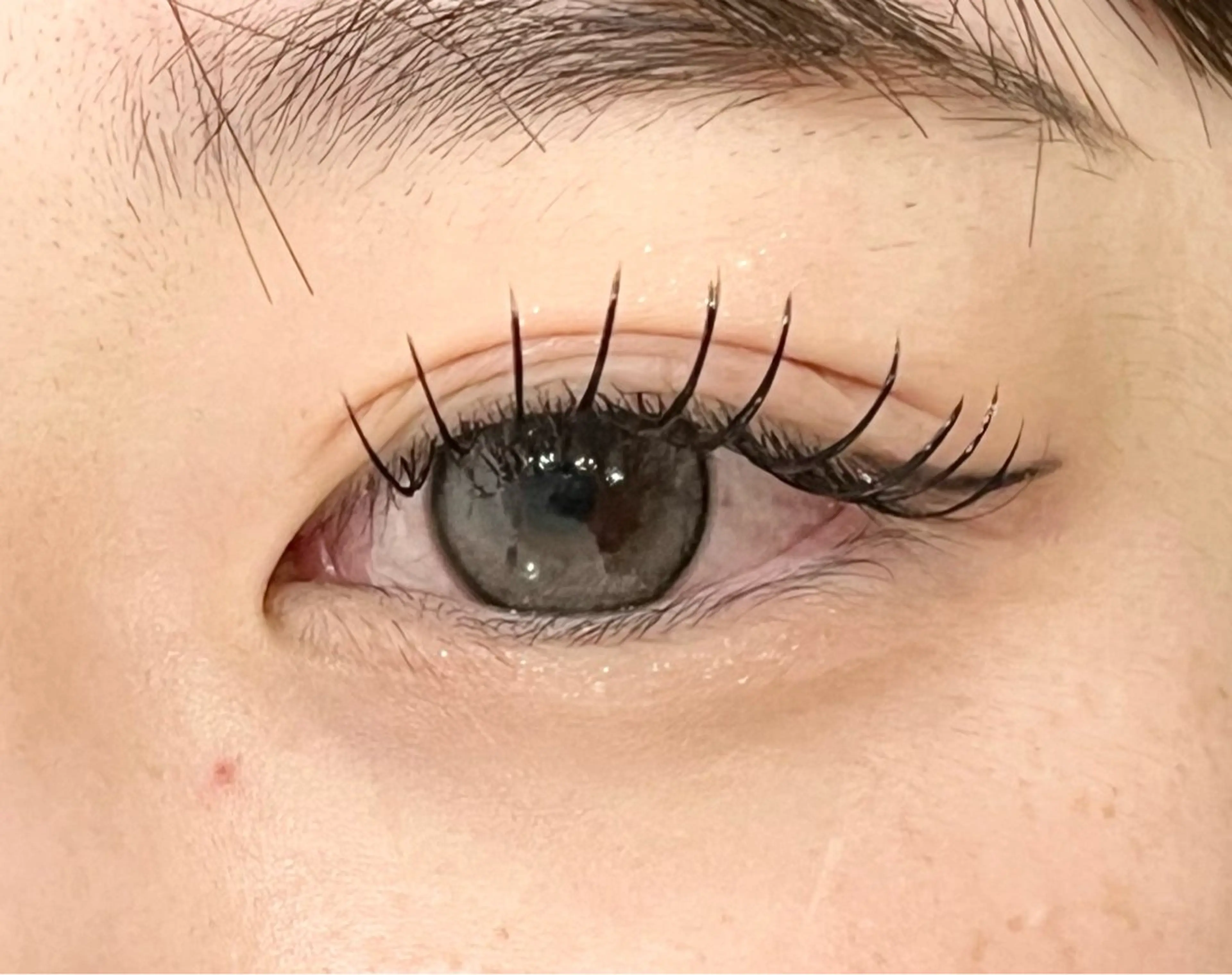 まつエク120本 オフなし🧸【フラットラッシュ】の写真