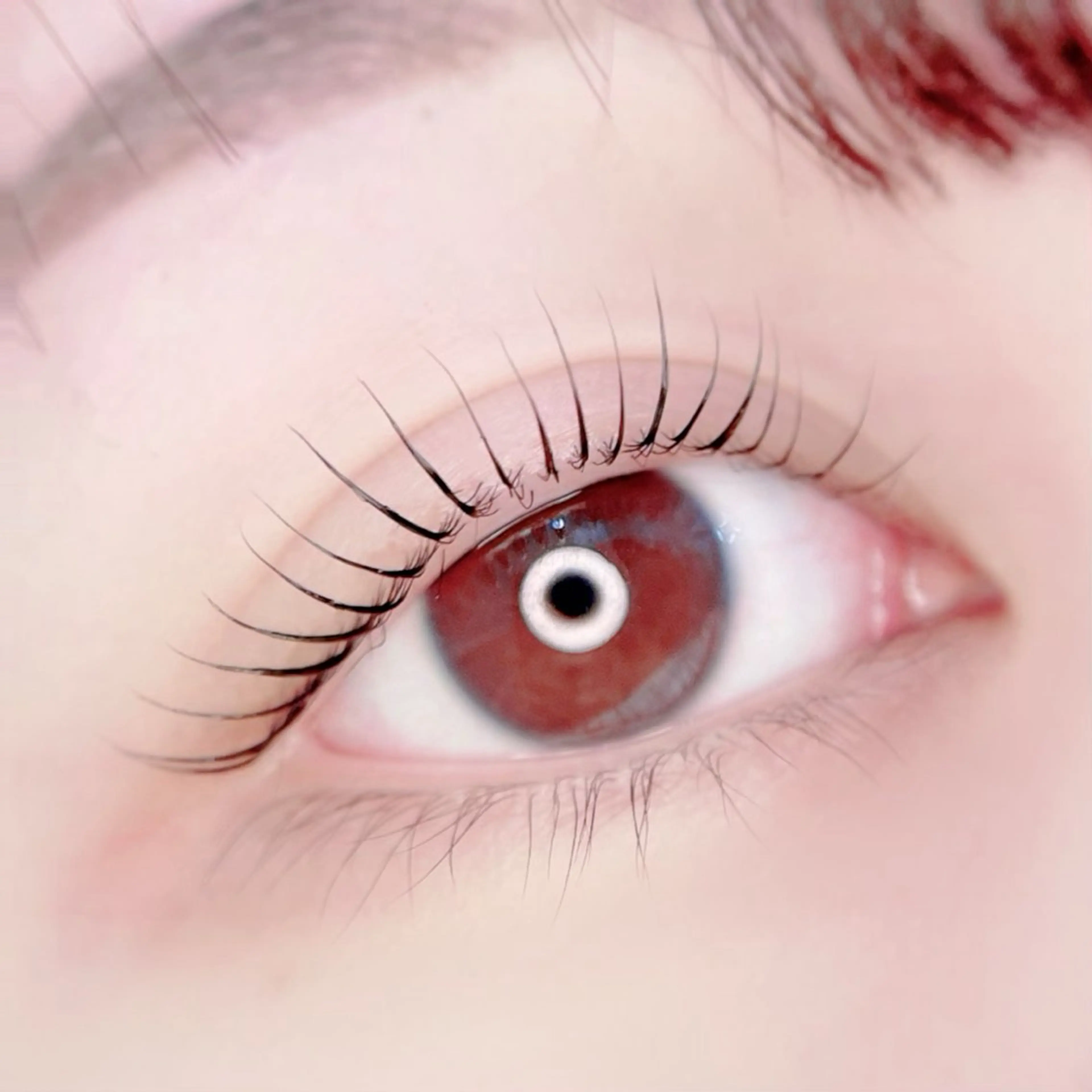 🌈ご新規様限定✨ケラチントリートメント✨ラッシュリフト上まつ毛🫧アイシャンプー付き🫧の写真