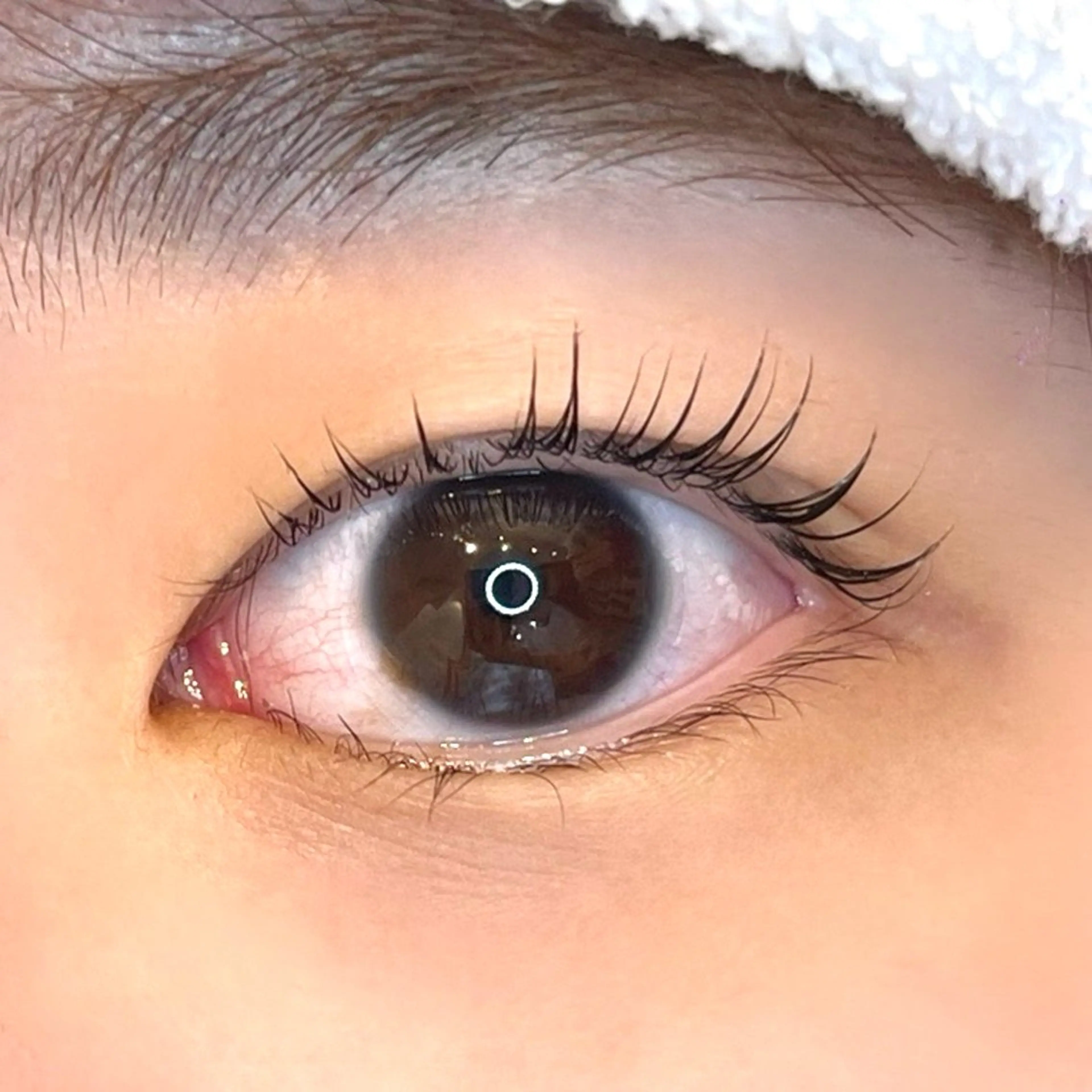 マツエク・マツパ マツパ メゾンドシャルム NISHIKAWAのマツエク・マツパデザイン