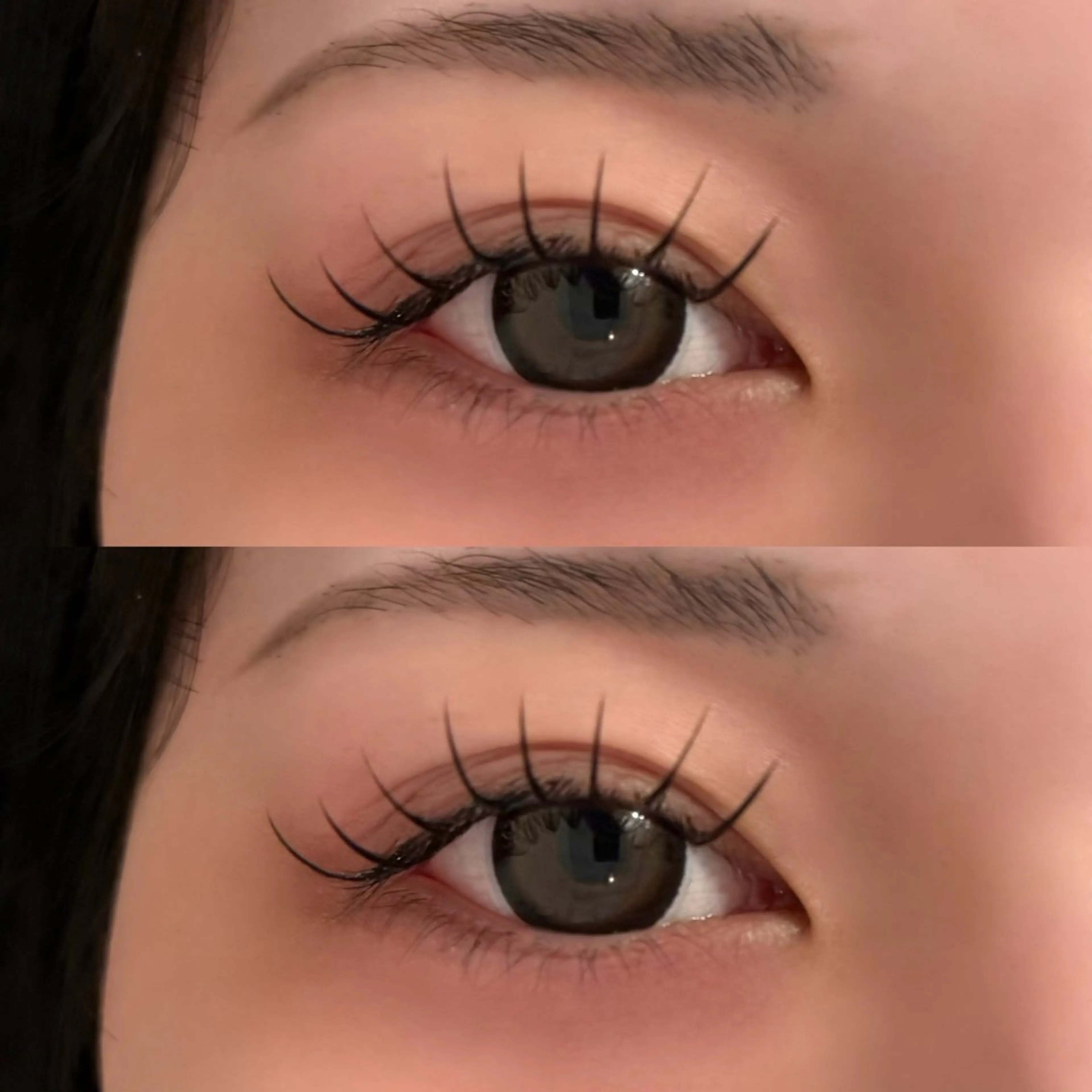 マツエク・マツパ フラットラッシュ マツエク 🐾ROAR🐾 HAZUKIのマツエク・マツパデザイン