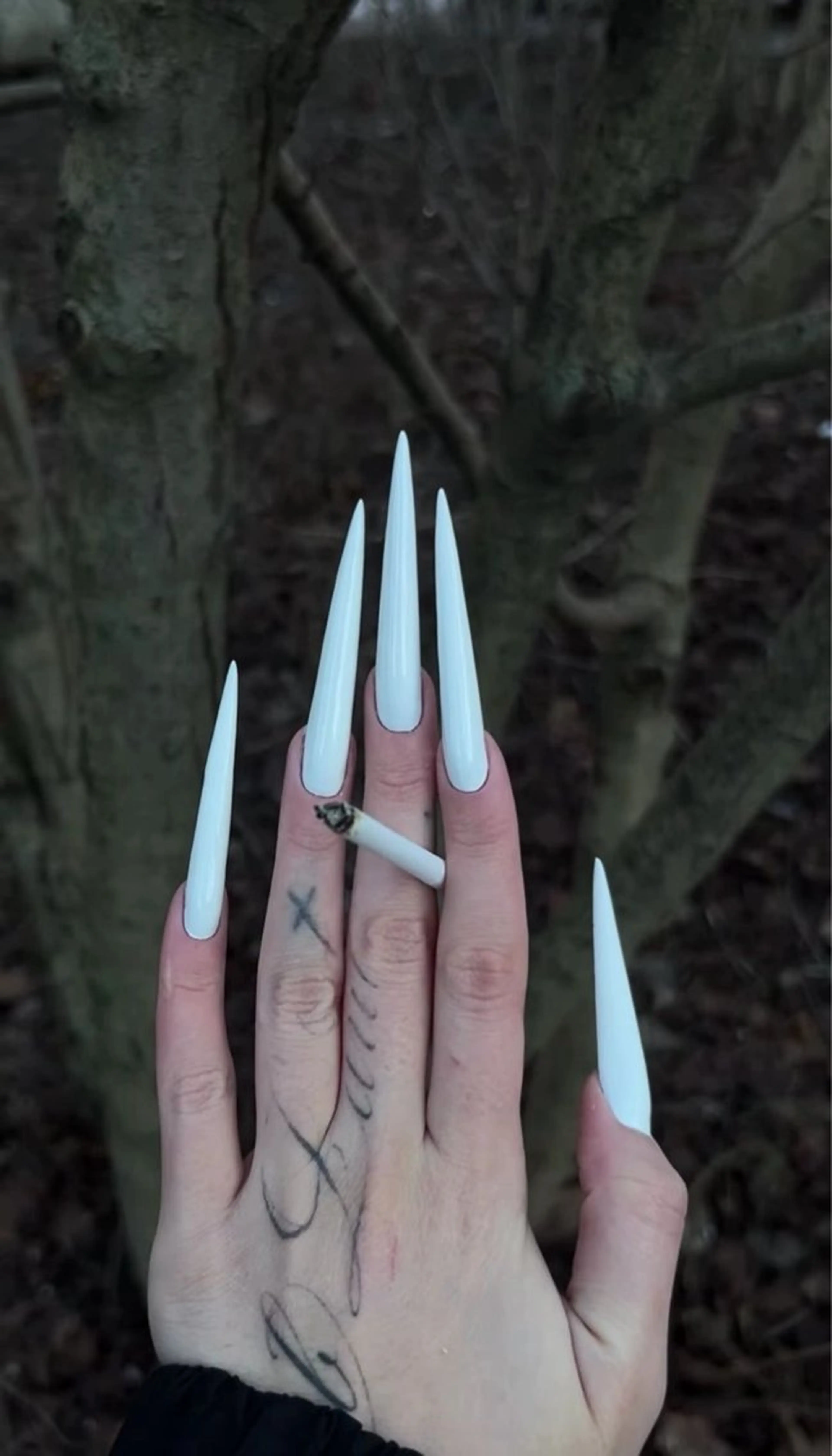 【hand】 MAX ロングチップ長出し（5XL）ワンカラ/マグネット/グラデション／フレンチ 150分の写真