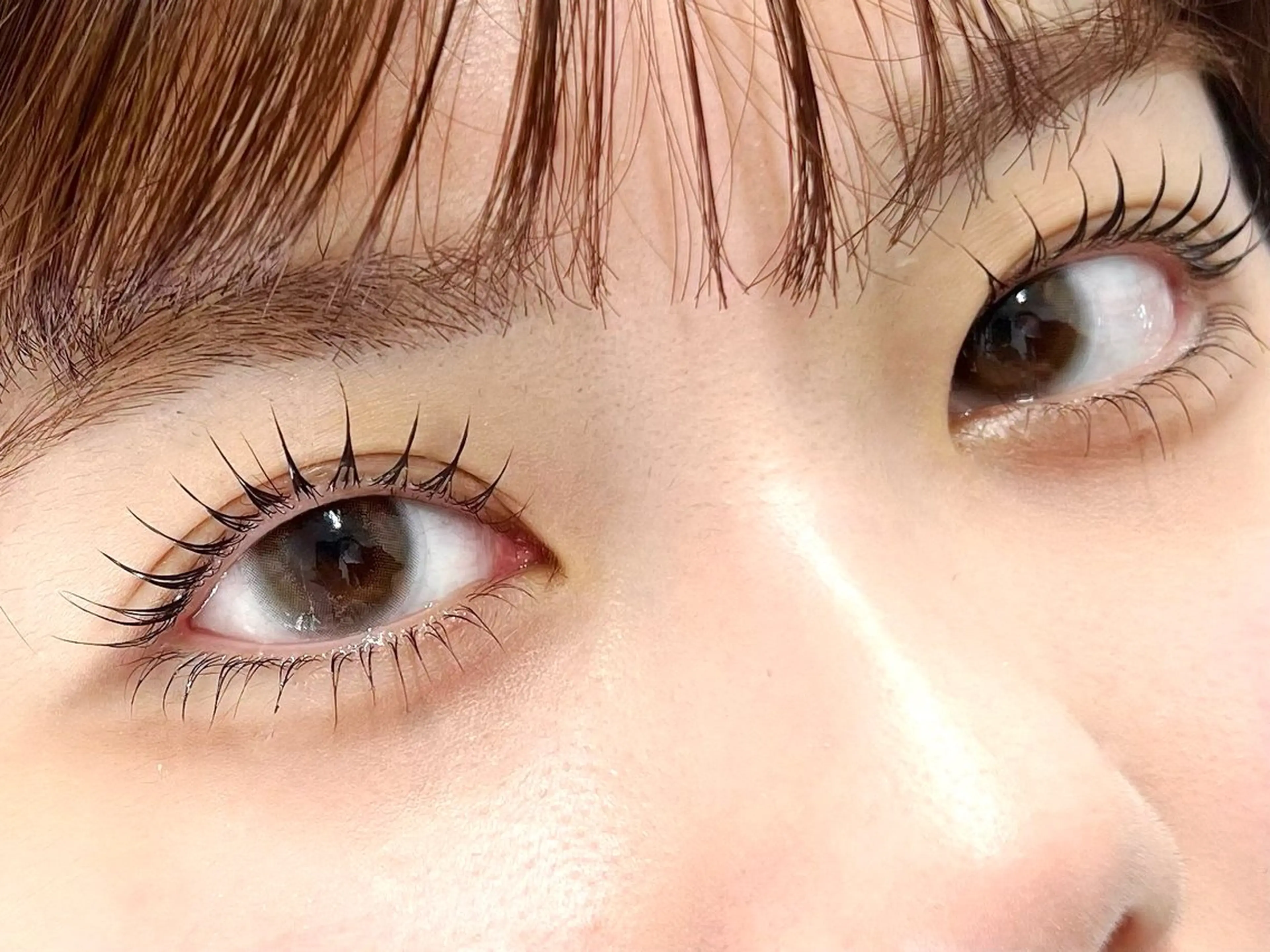 逆さまつげにも◎アイドル束感🩶韓国まつ毛パーマ上下🇰🇷の写真