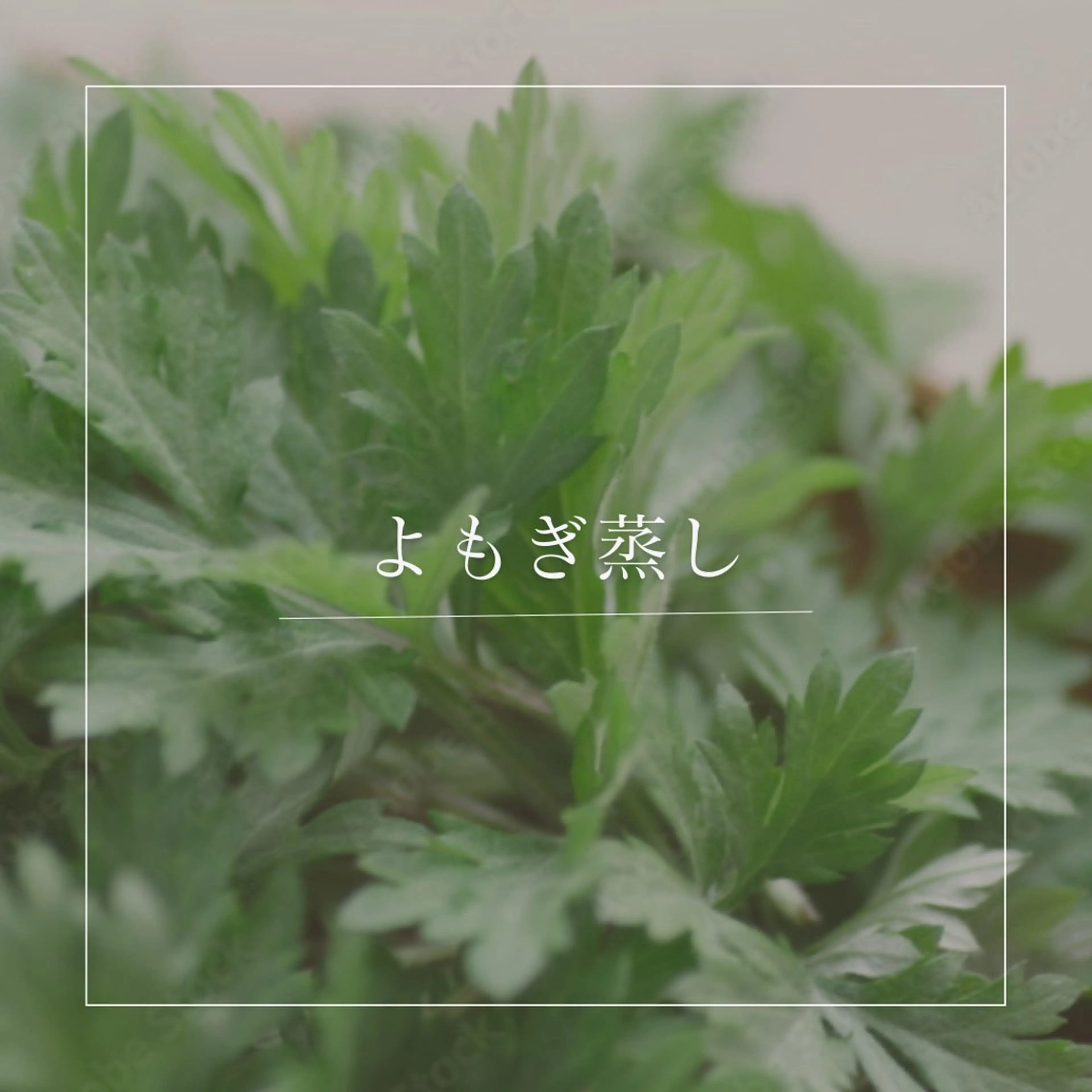 初回限定よもぎ蒸し30分の写真