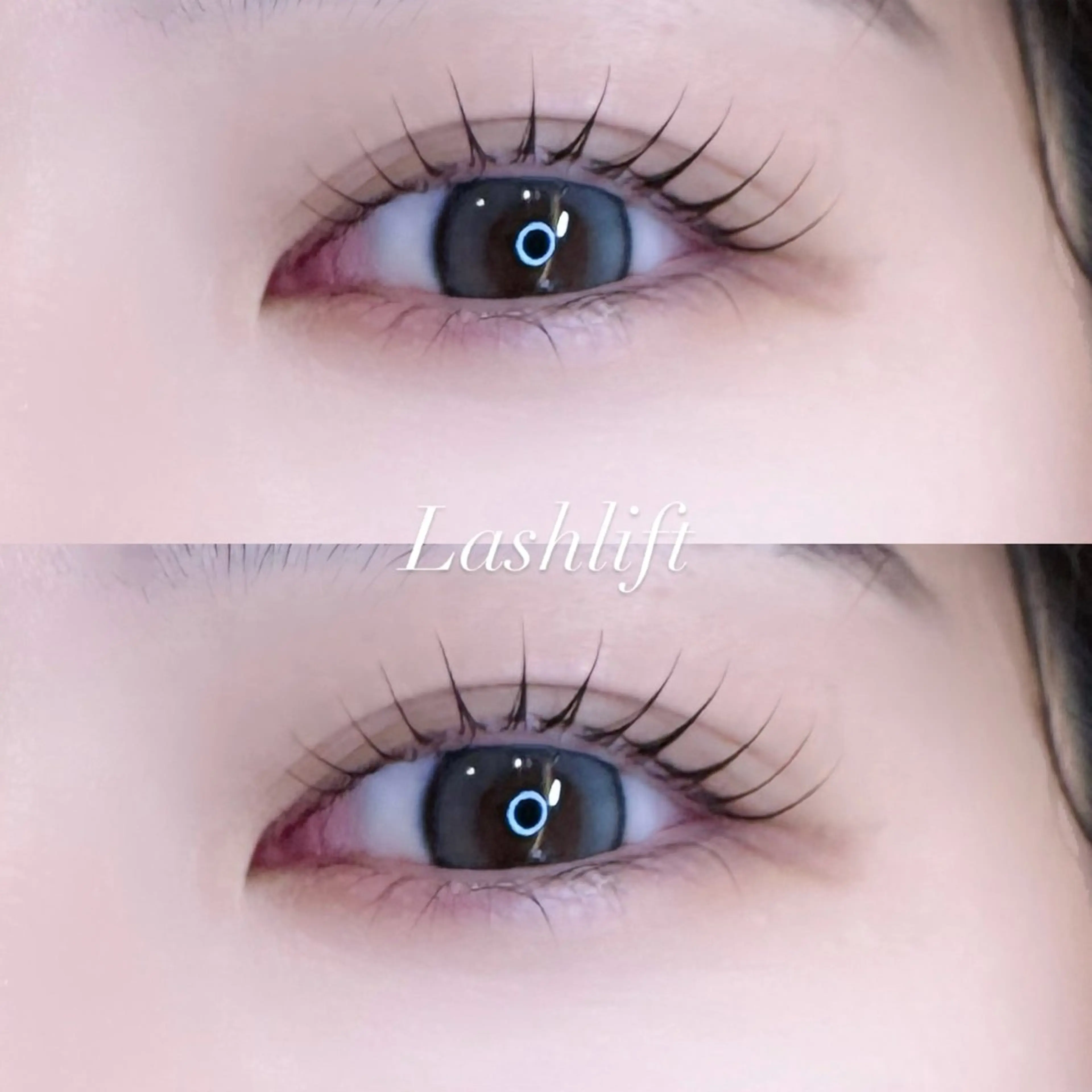 【平日限定💗 】まつ毛パーマ《束感コーティング仕上げ🐰》の写真