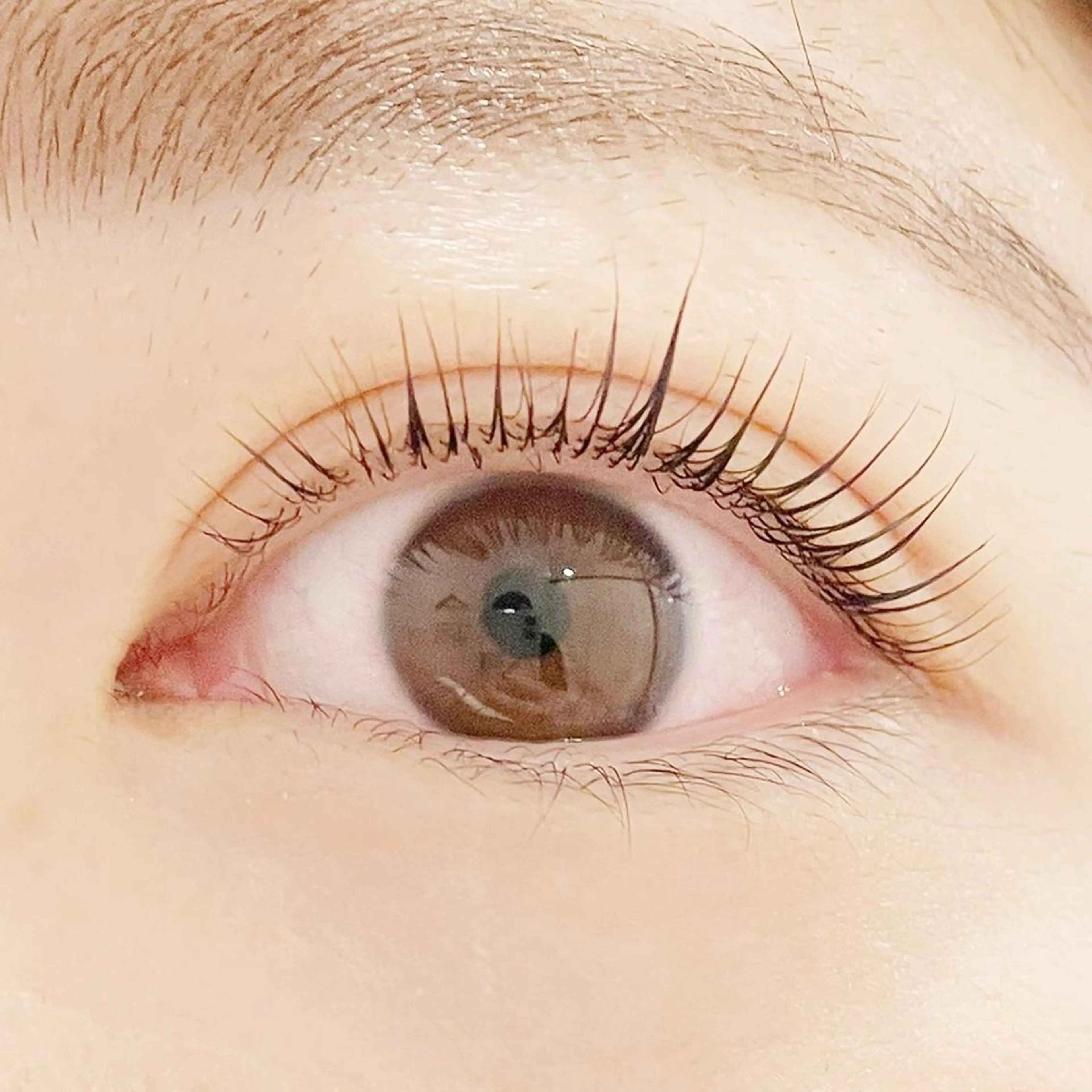 マツエク・マツパ パリジェンヌラッシュリフト EYEMAJIC Pure★高見の眉毛・アイブロウイメージ