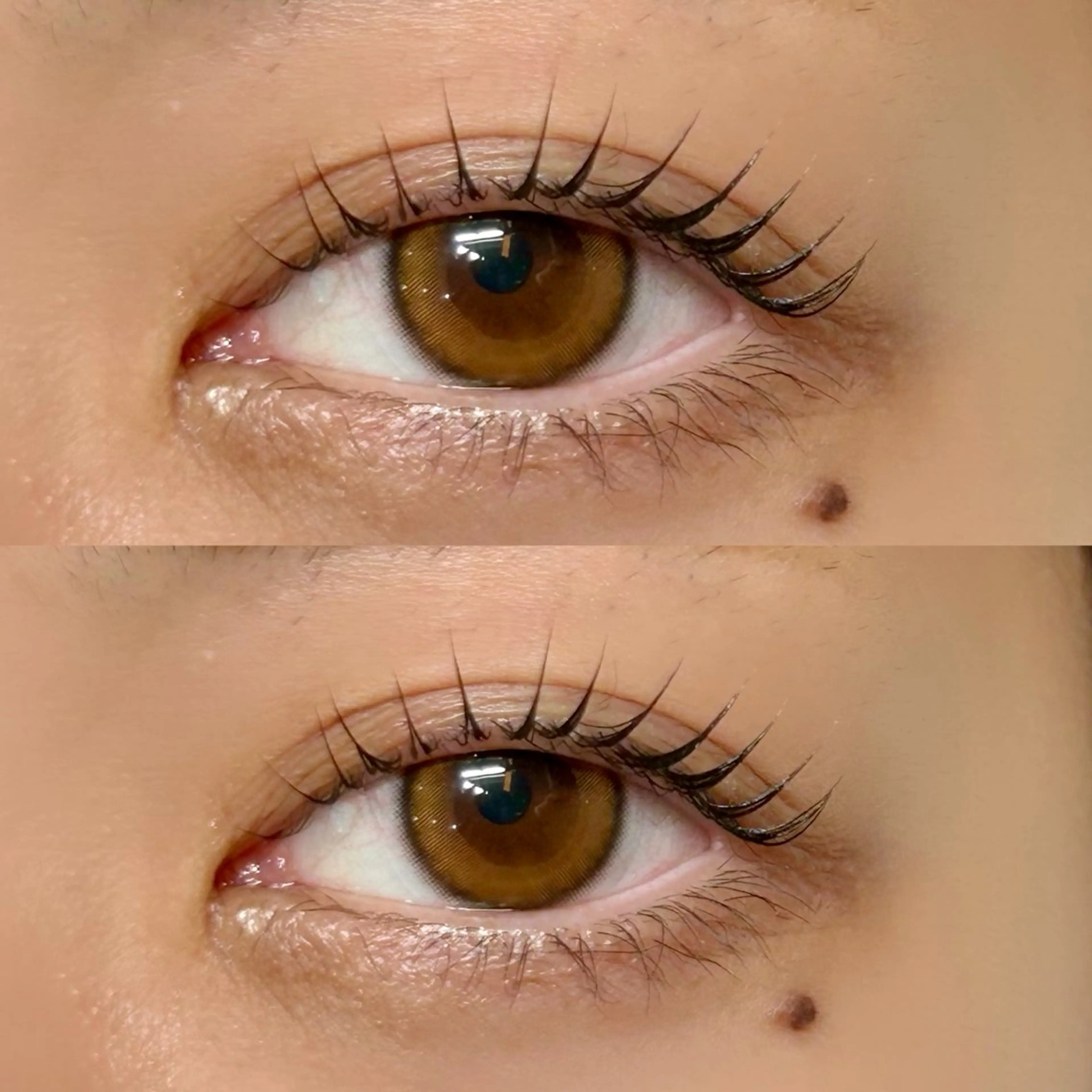 マツエク・マツパ マツパ Lebon eye serina🦋のマツエク・マツパデザイン