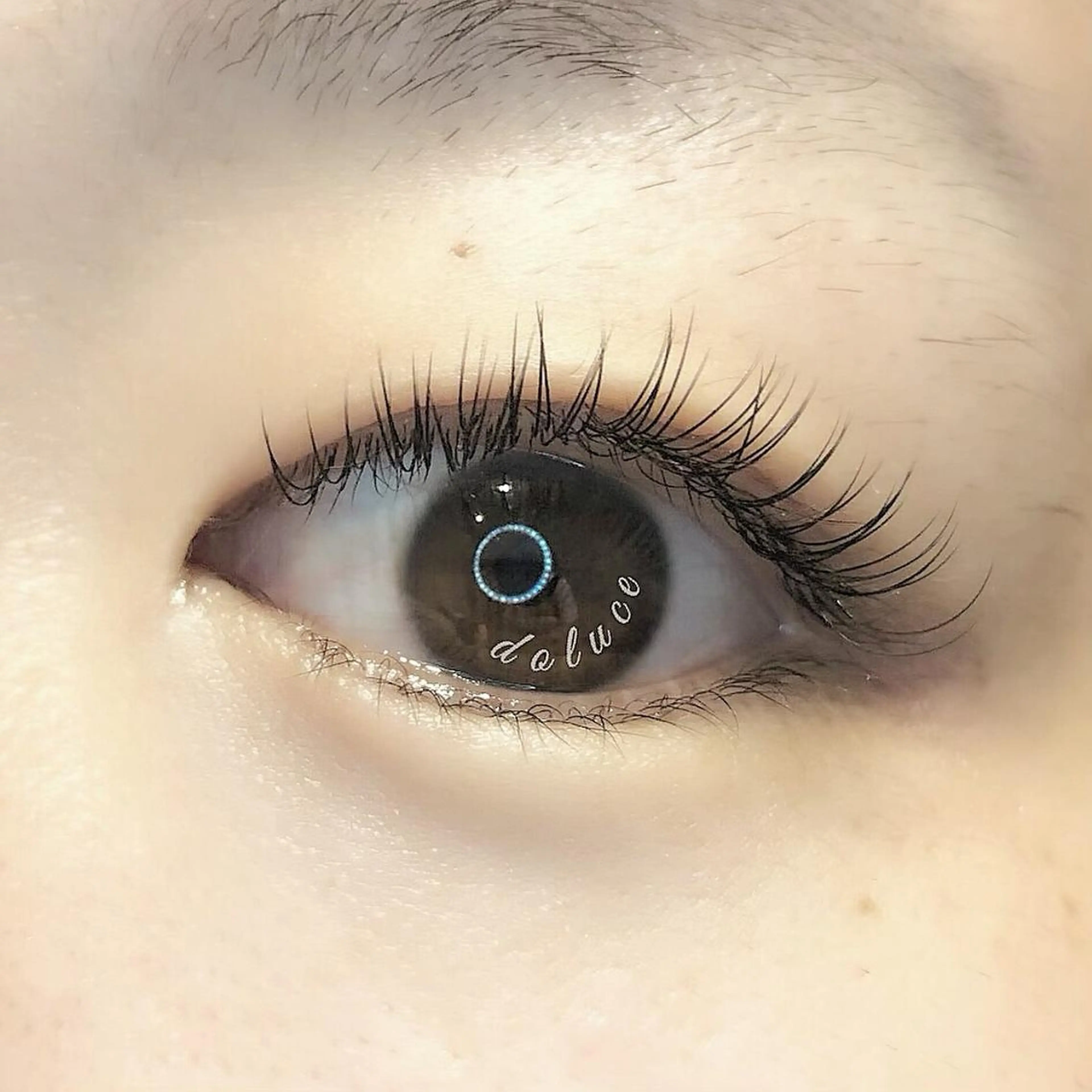 マツエク・マツパ Cカール フラットラッシュ Doluce ドルーチェのマツエク・マツパデザイン