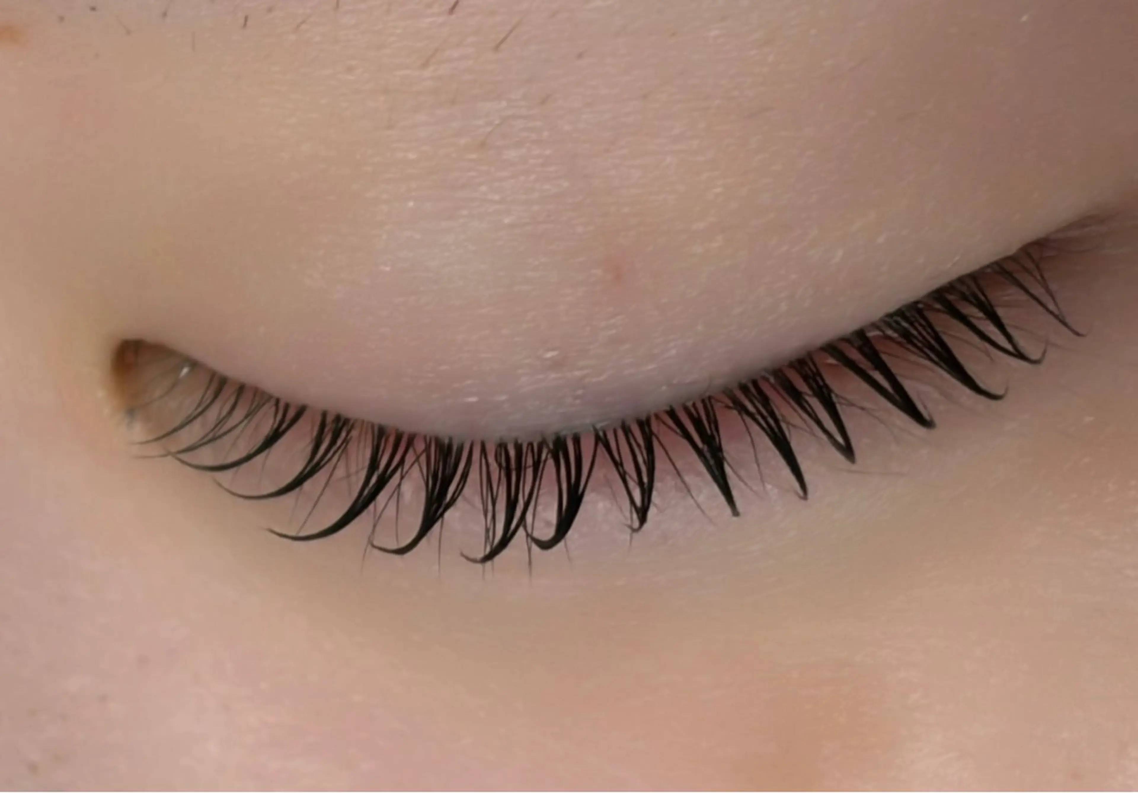 マツエク・マツパ 韓国風マツエク マツパ ルチア💞 lucia高田馬場のマツエク・マツパデザイン