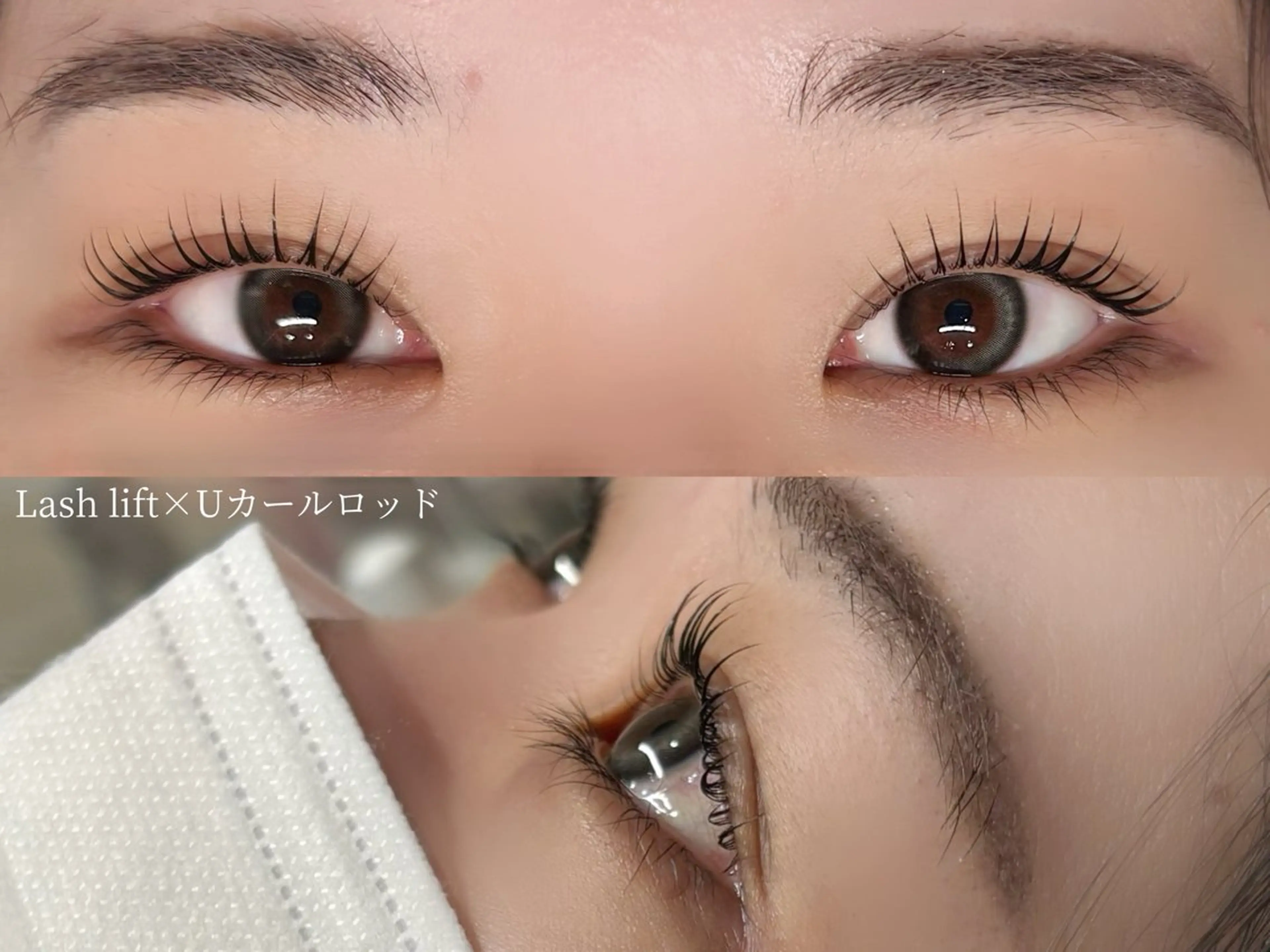 【マスカラパーマ】次世代まつげパーマ＋ティントの写真