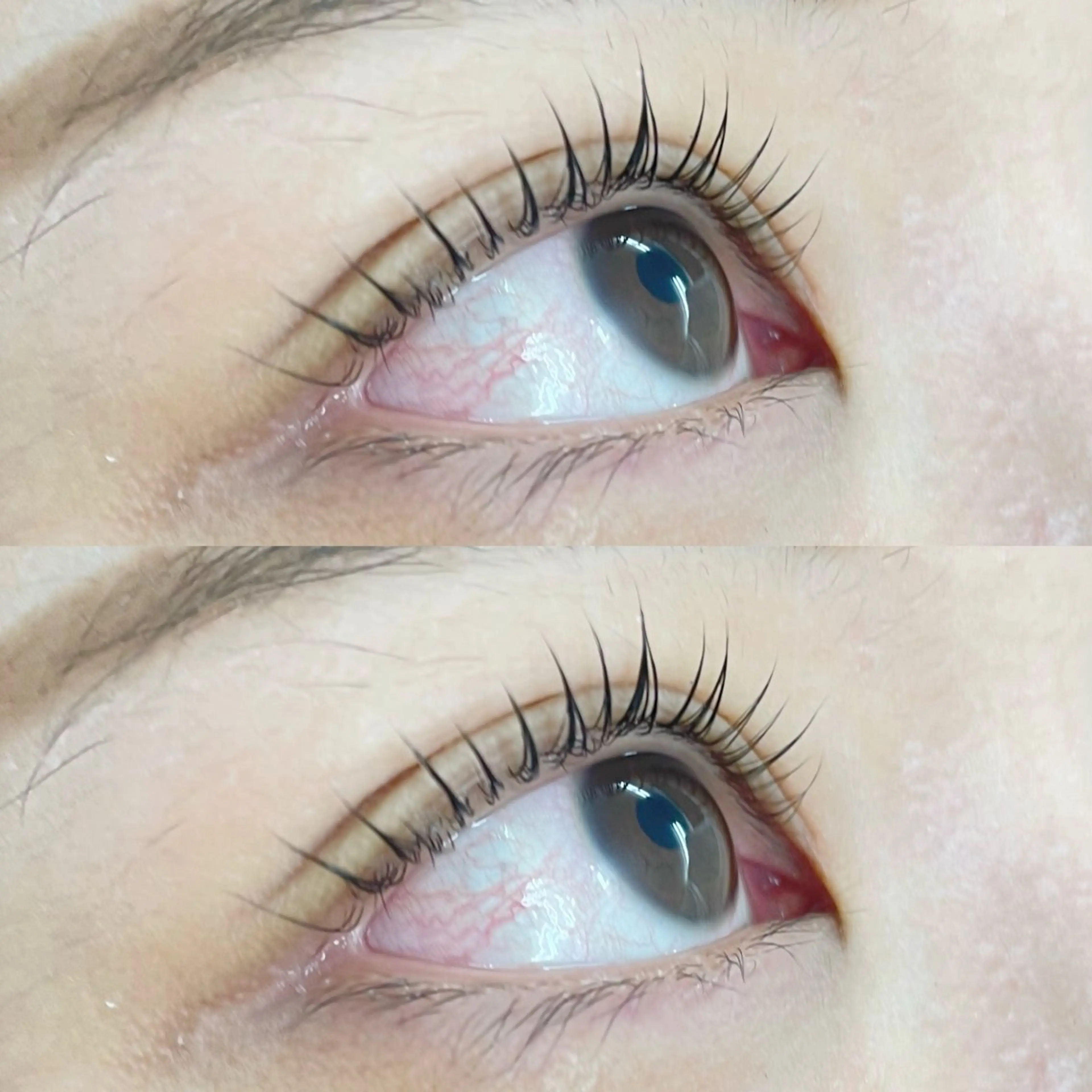 マツエク・マツパ パリジェンヌラッシュリフト alice tokyo石川★のマツエク・マツパデザイン