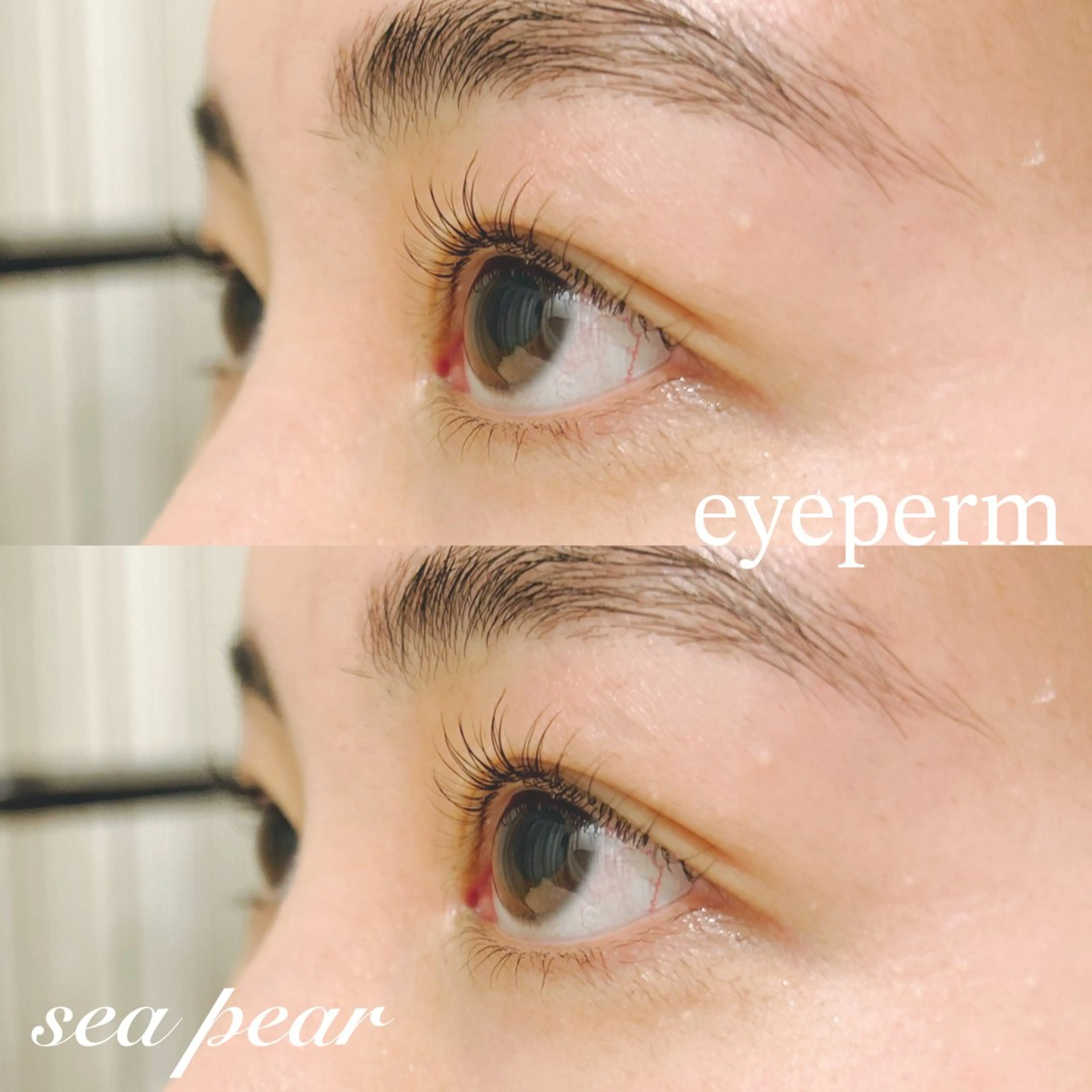 マツエク・マツパ 井上 智絵のマツエク・マツパデザイン