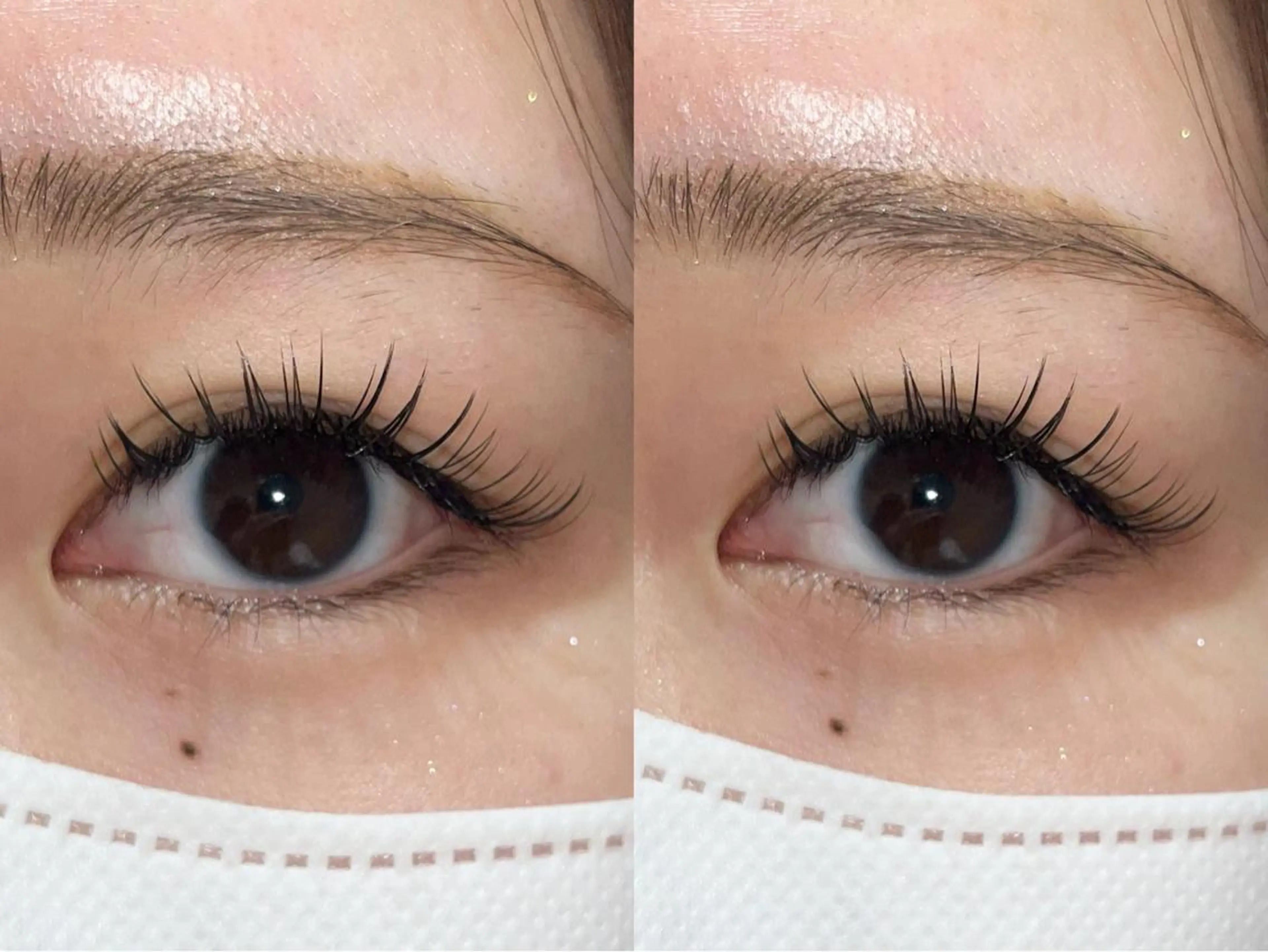 マツエク・マツパ フラットラッシュ Sakamoto Miaの眉毛・アイブロウイメージ