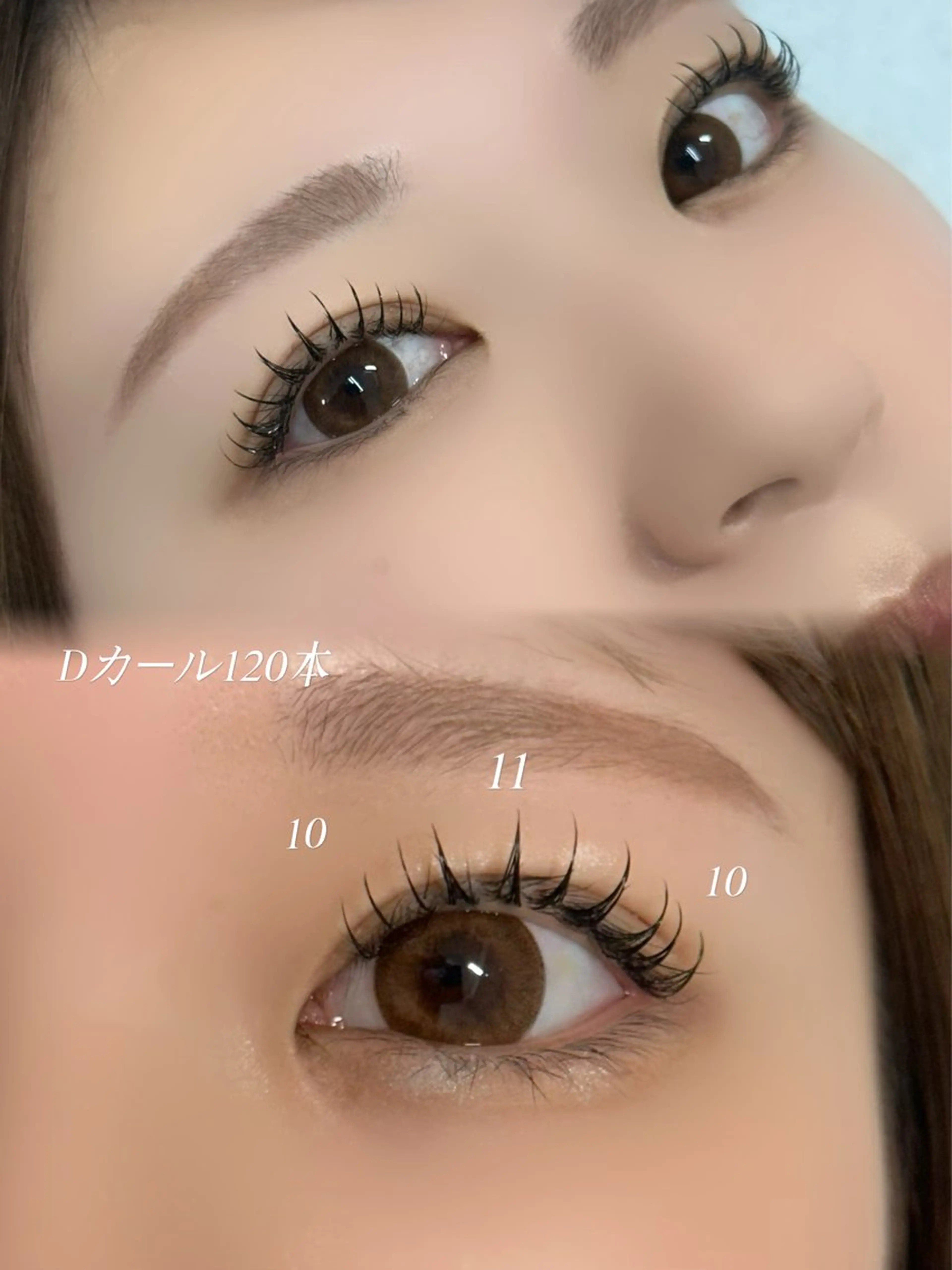 🌹フラットラッシュ100or120🌹の写真