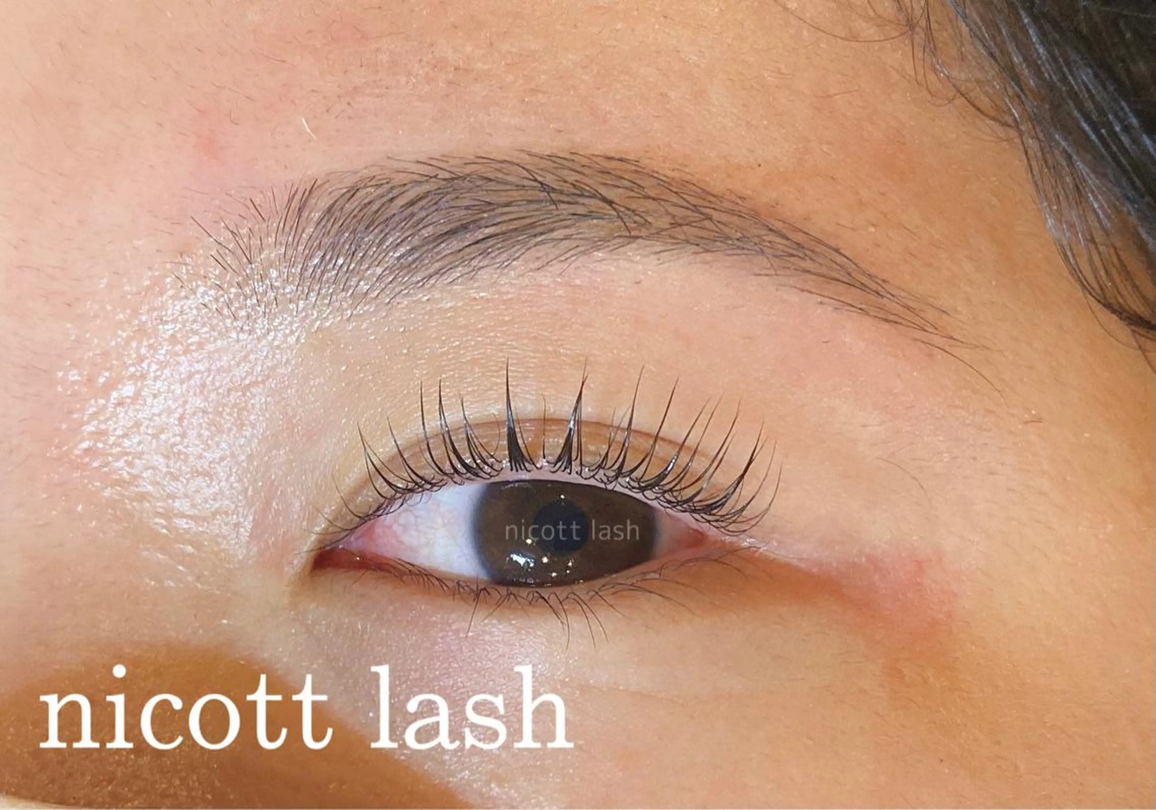 マツエク・マツパ アイブロウ パリジェンヌラッシュリフト nicottlash 天王寺店のマツエク・マツパデザイン