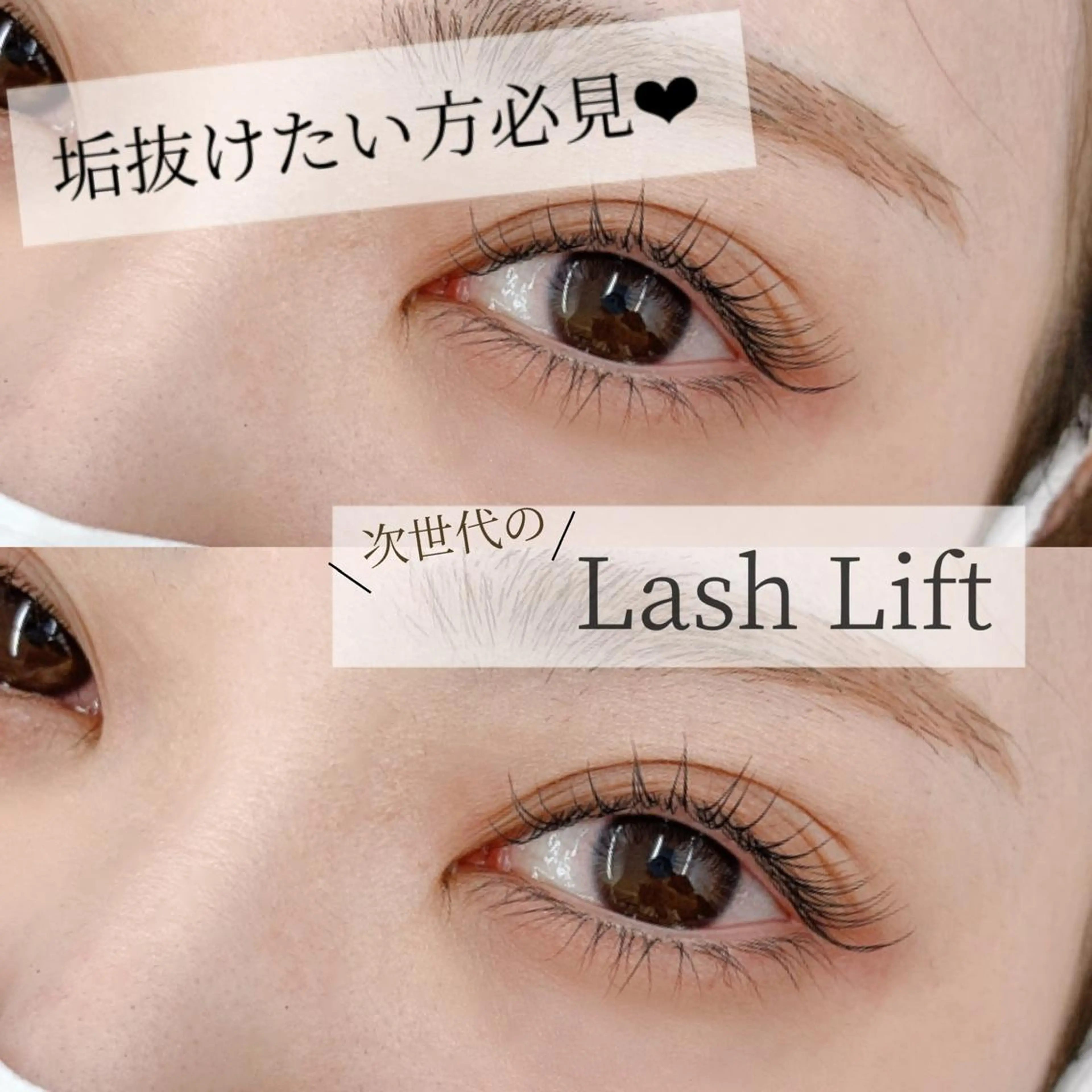 【束感仕上げ🧸♥️】パリジェンヌラッシュリフト上下💎✨の写真