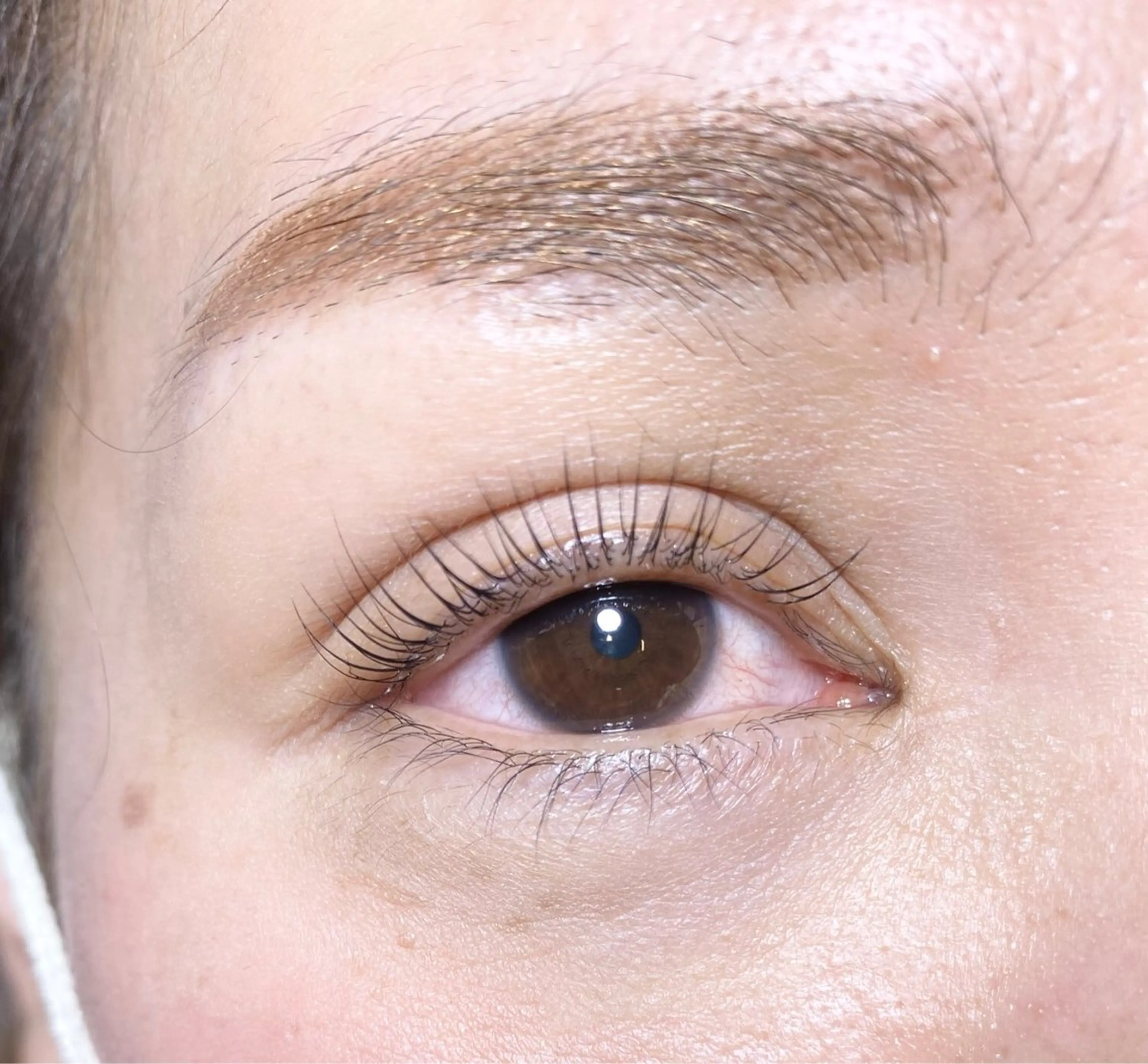 （上下セット）パリジェンヌラッシュリフトorラッシュリフトの写真