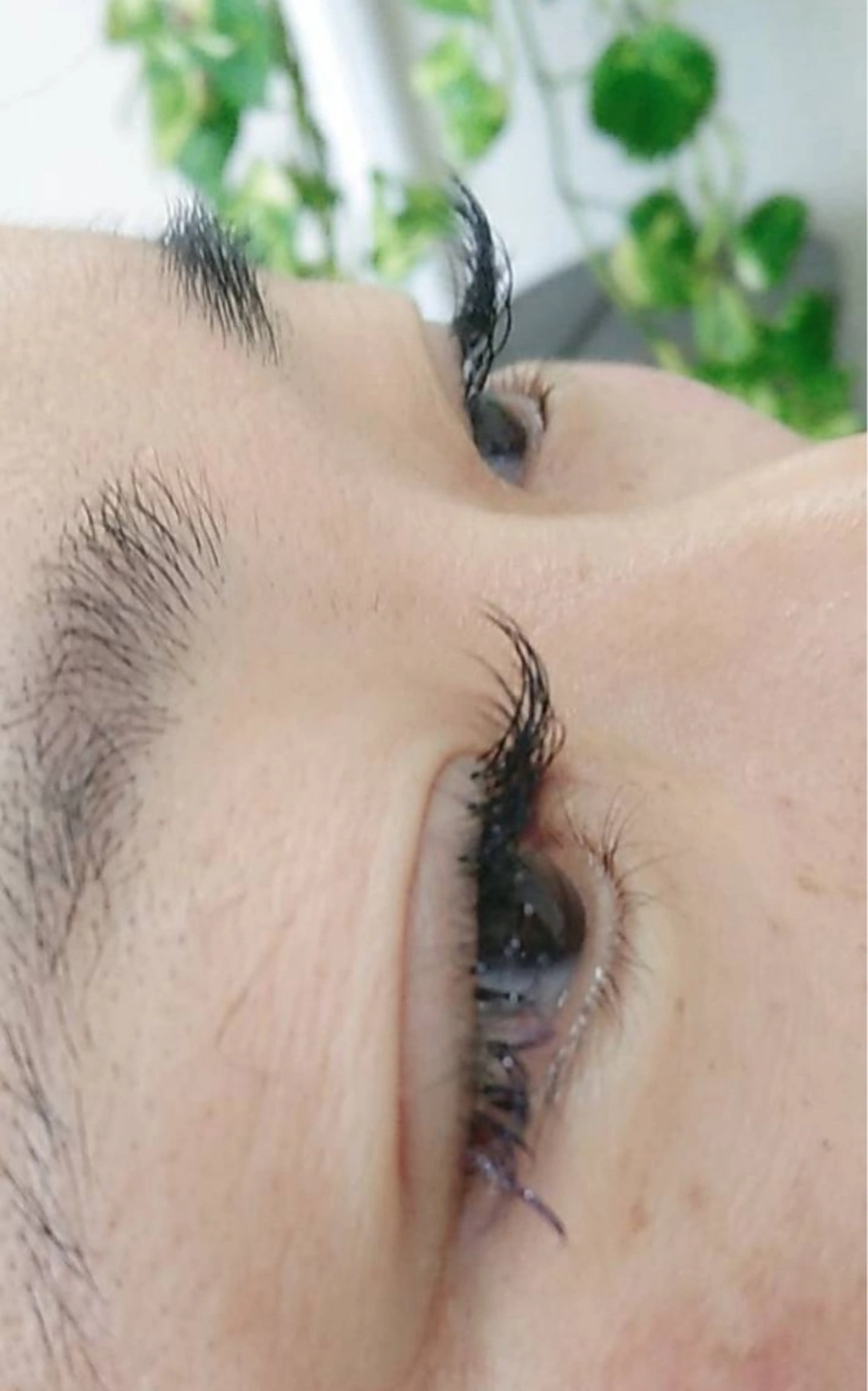 マツエク・マツパ 志賀 千鶴のヘアスタイル