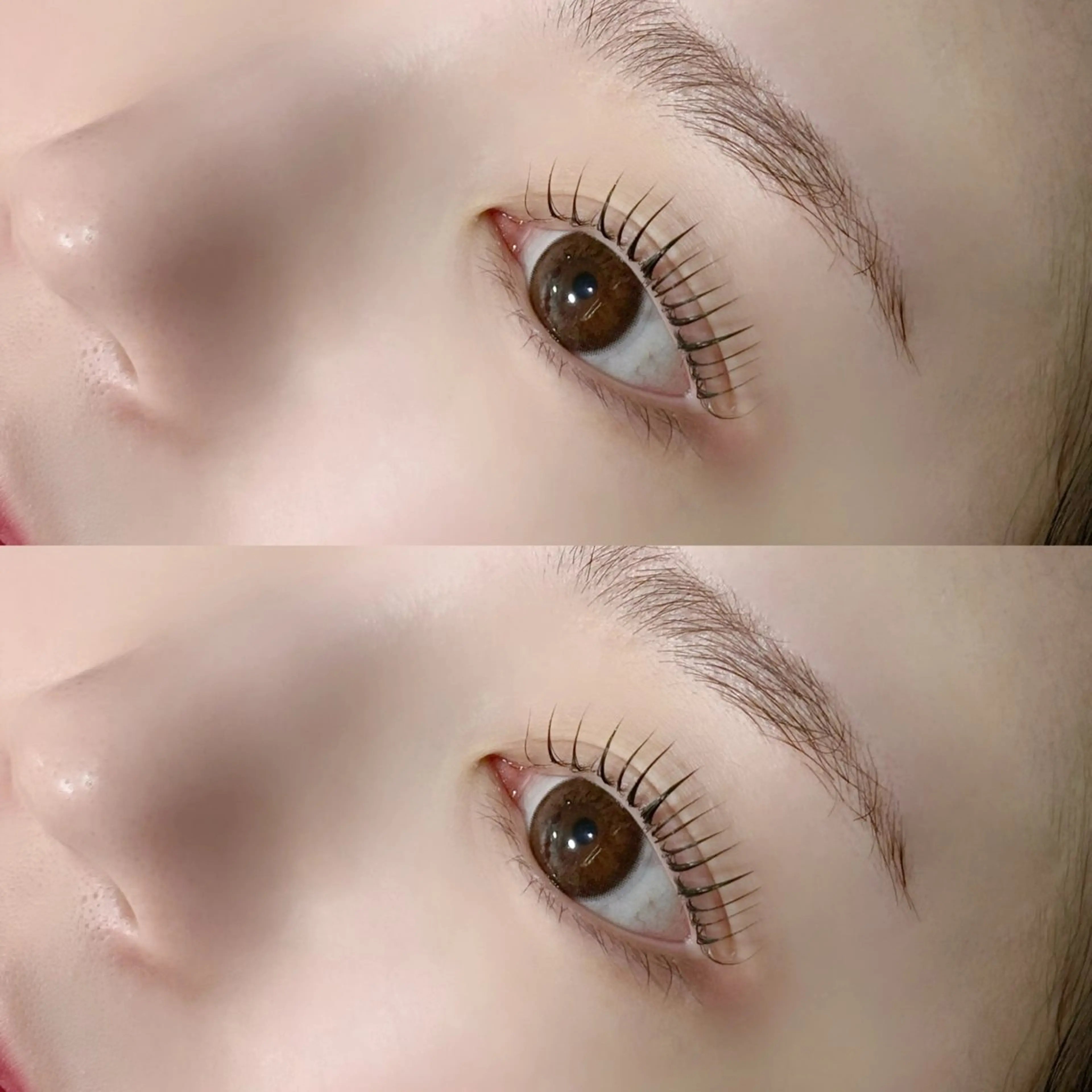 【美眉/まつげパーマ】アイブロウWax +ラッシュリフト ¥11500→の写真