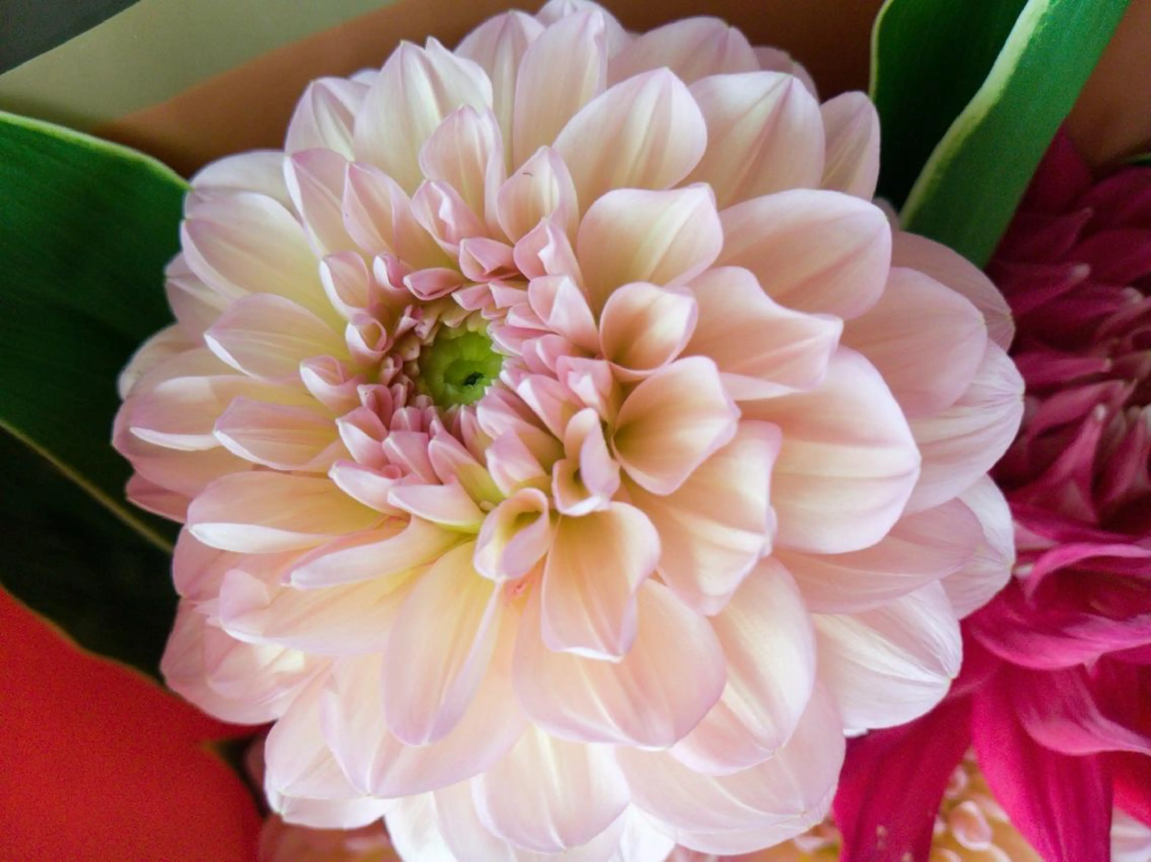 Dahliaダリア シュガーリングサロンのエステ・リラクイメージ