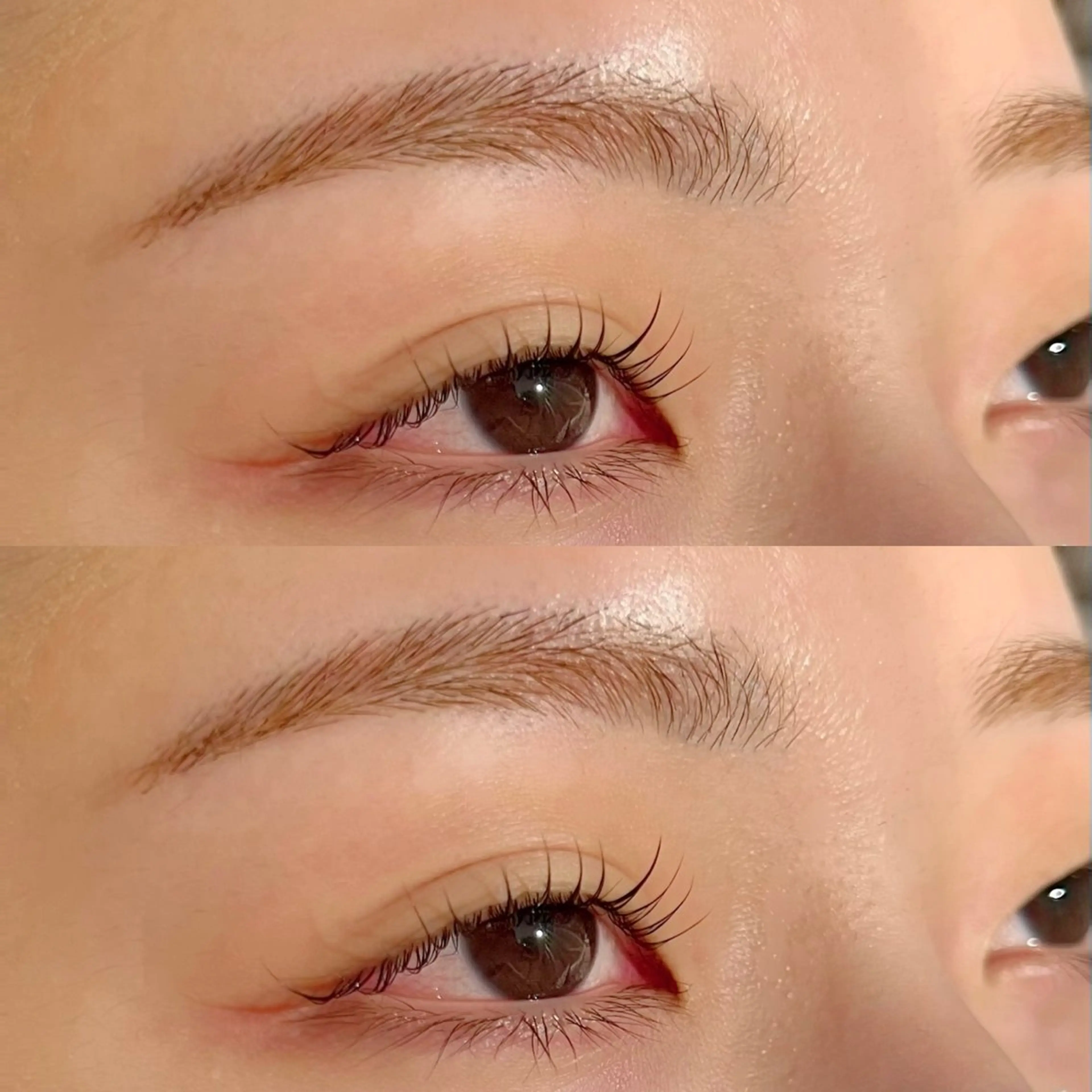 【セット割引】眉毛WAX＋まつげパーマセット🤍の写真