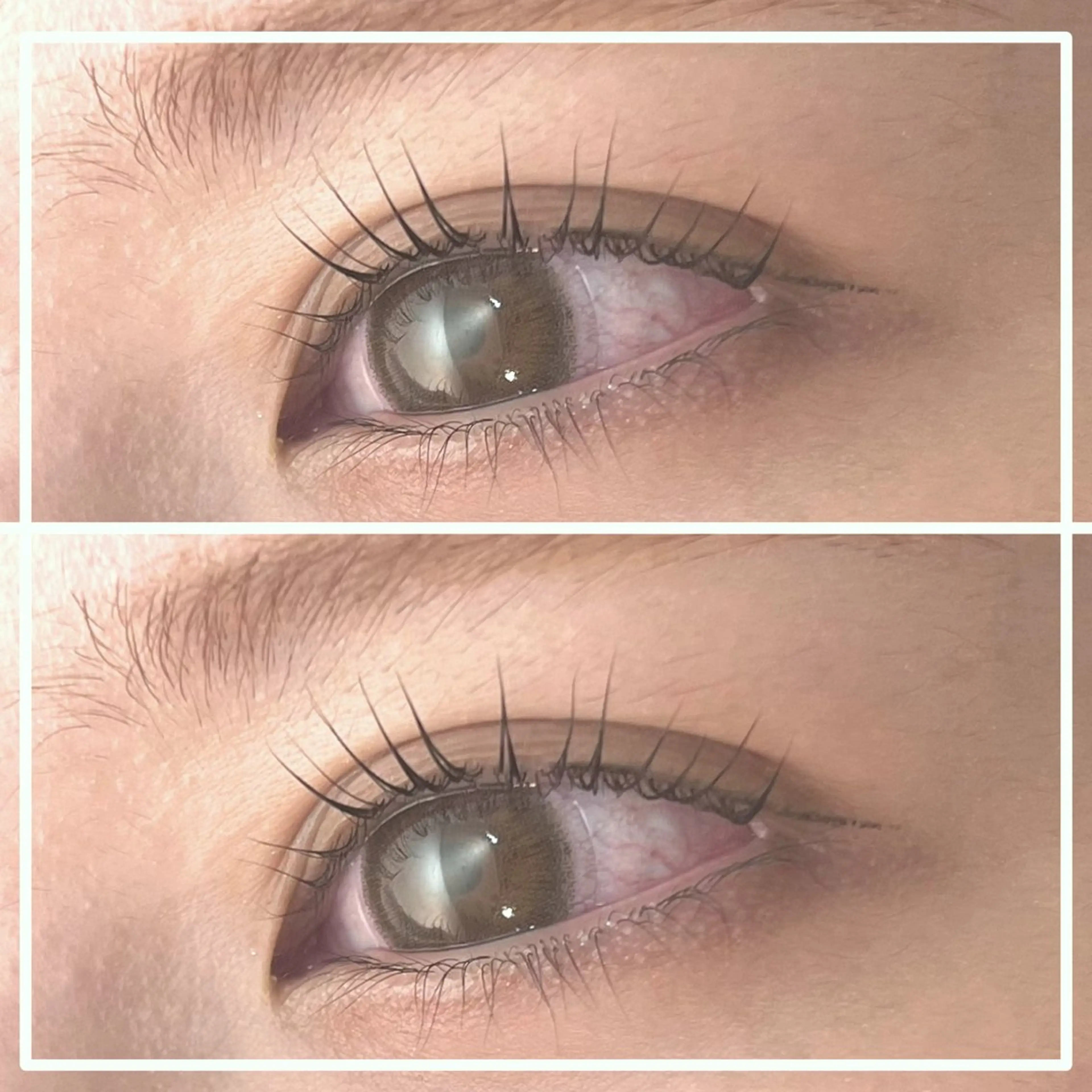 🍒リクエスト推奨💖まつ毛パーマ+仕上げコーティング💖の写真