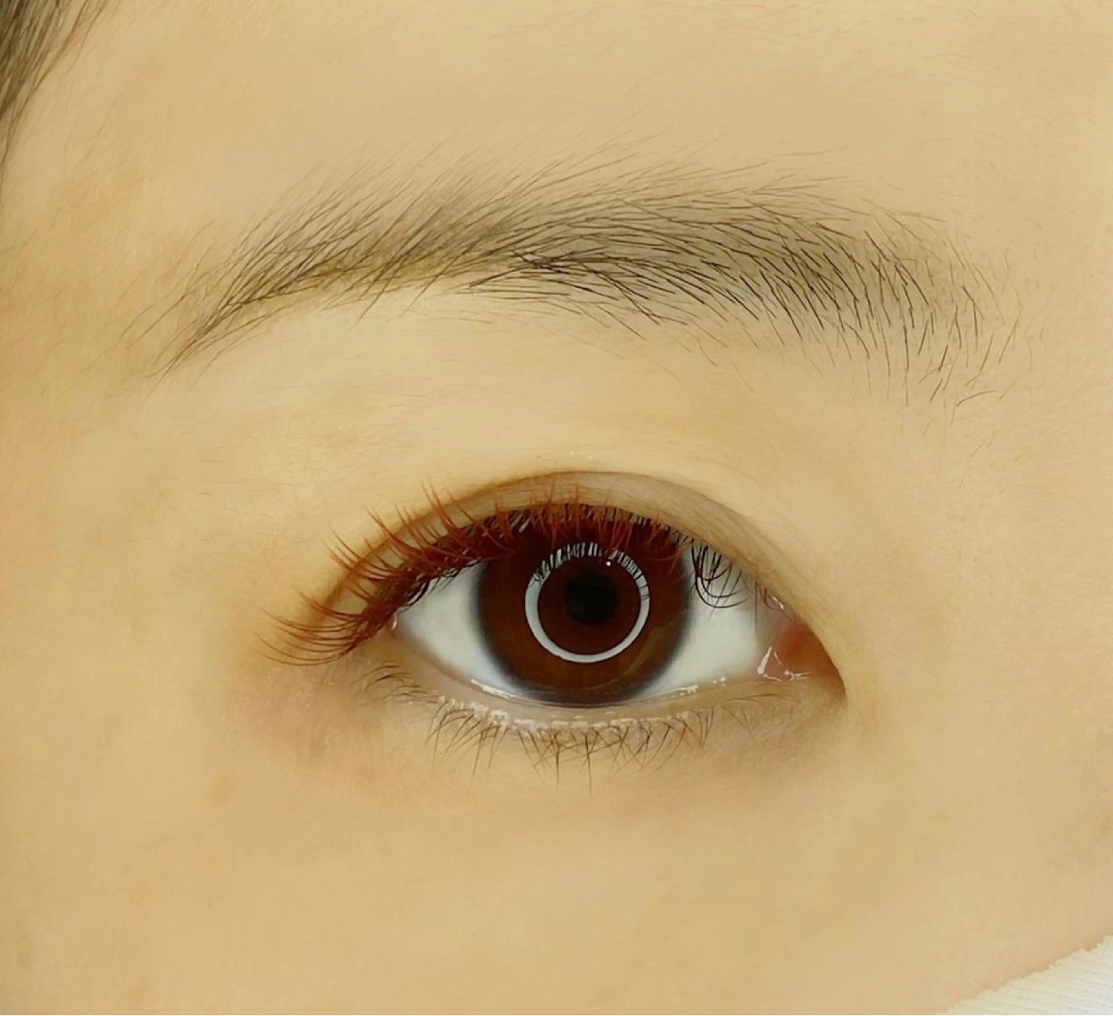 マツエク・マツパ フラットラッシュ 飯田 ゆかりのマツエク・マツパデザイン