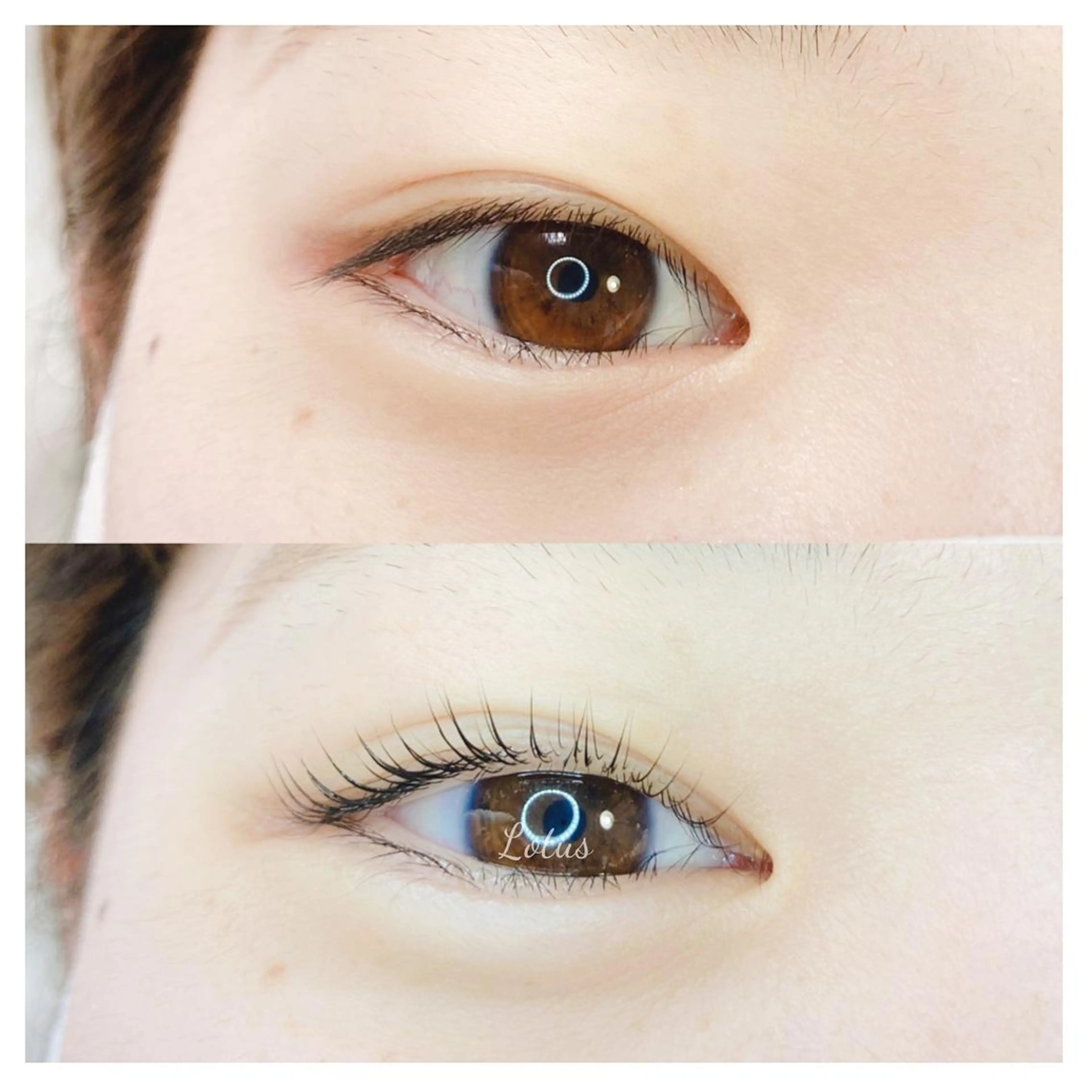 マツエク・マツパ Lotus所属・Lotus ロータスのマツエク・マツパデザイン