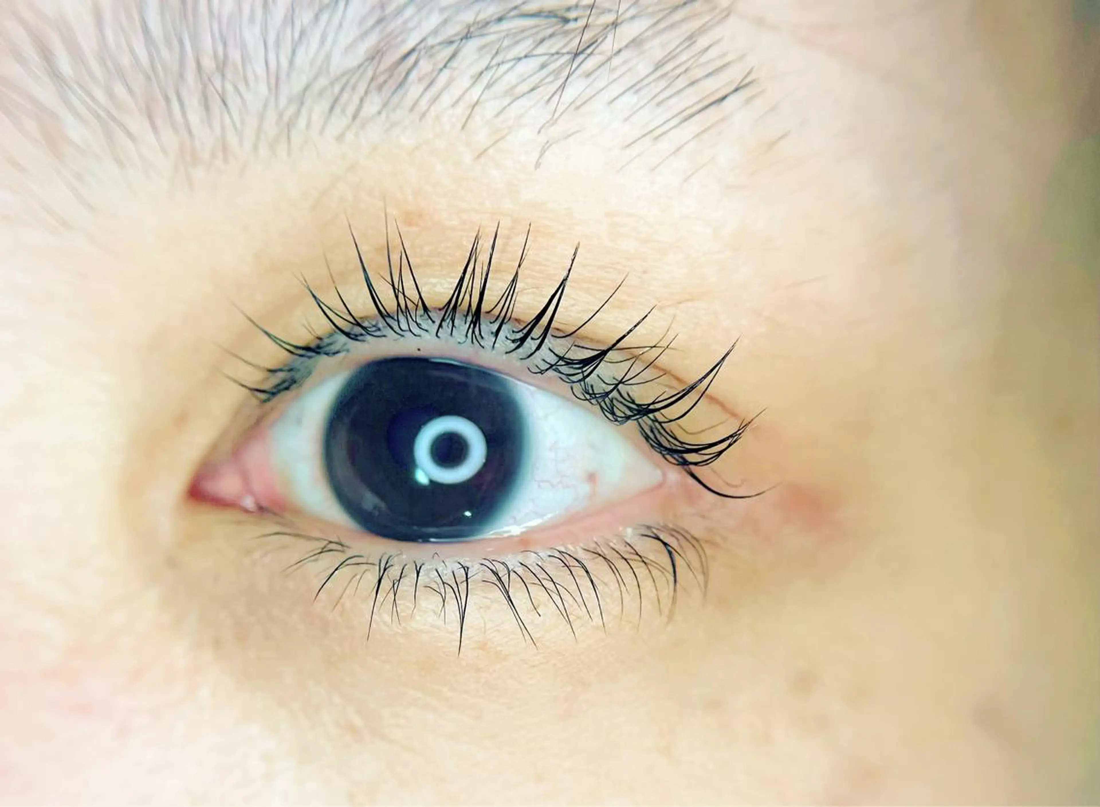 マツエク・マツパ ケラチンラッシュリフト バインドロック フラットラッシュ ナチュラル 一重×まつ毛パーマ irie(ｱｲﾘｰ) hair&eyeのマツエク・マツパデザイン