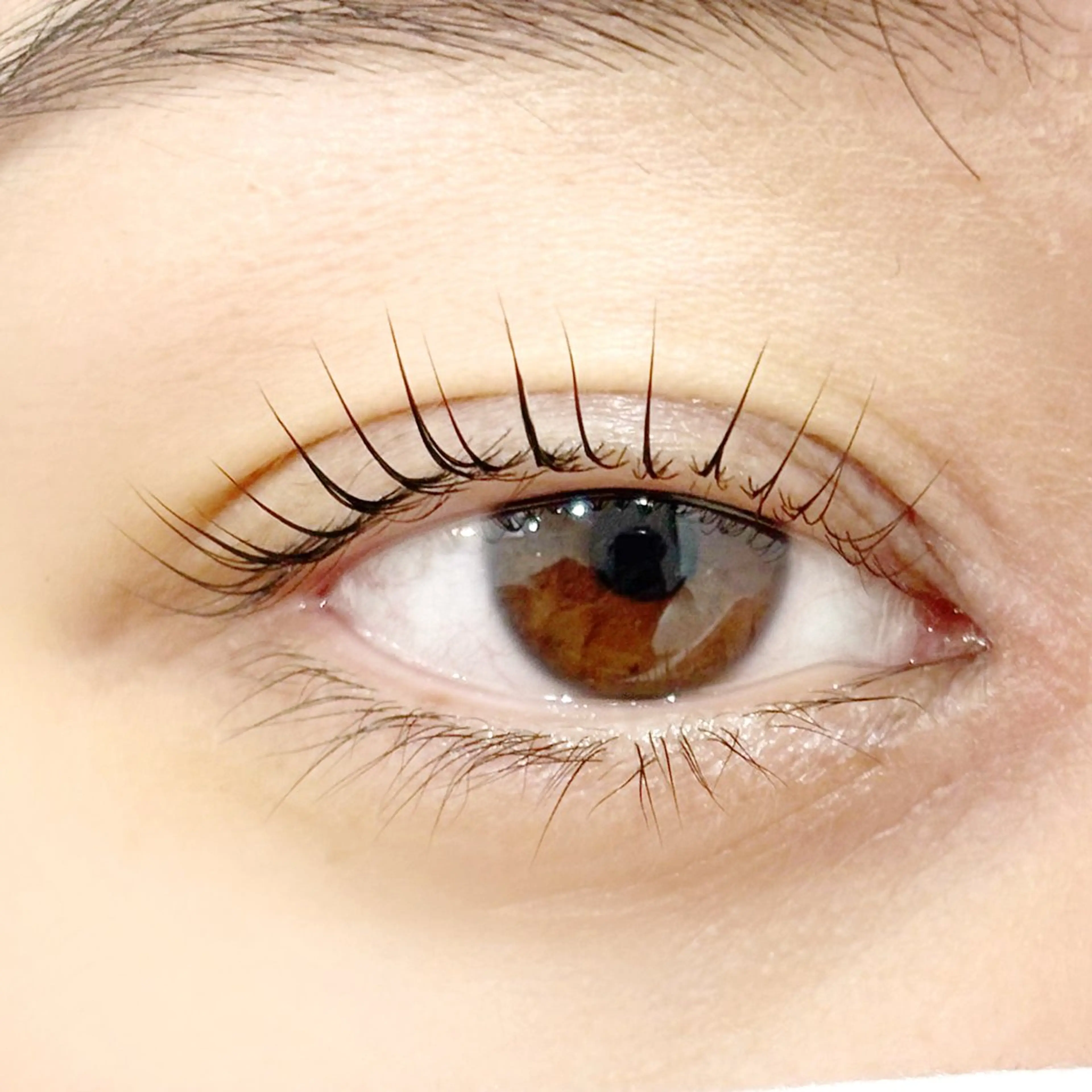 マツエク・マツパ マツパ 藤原 みやびのヘアスタイル