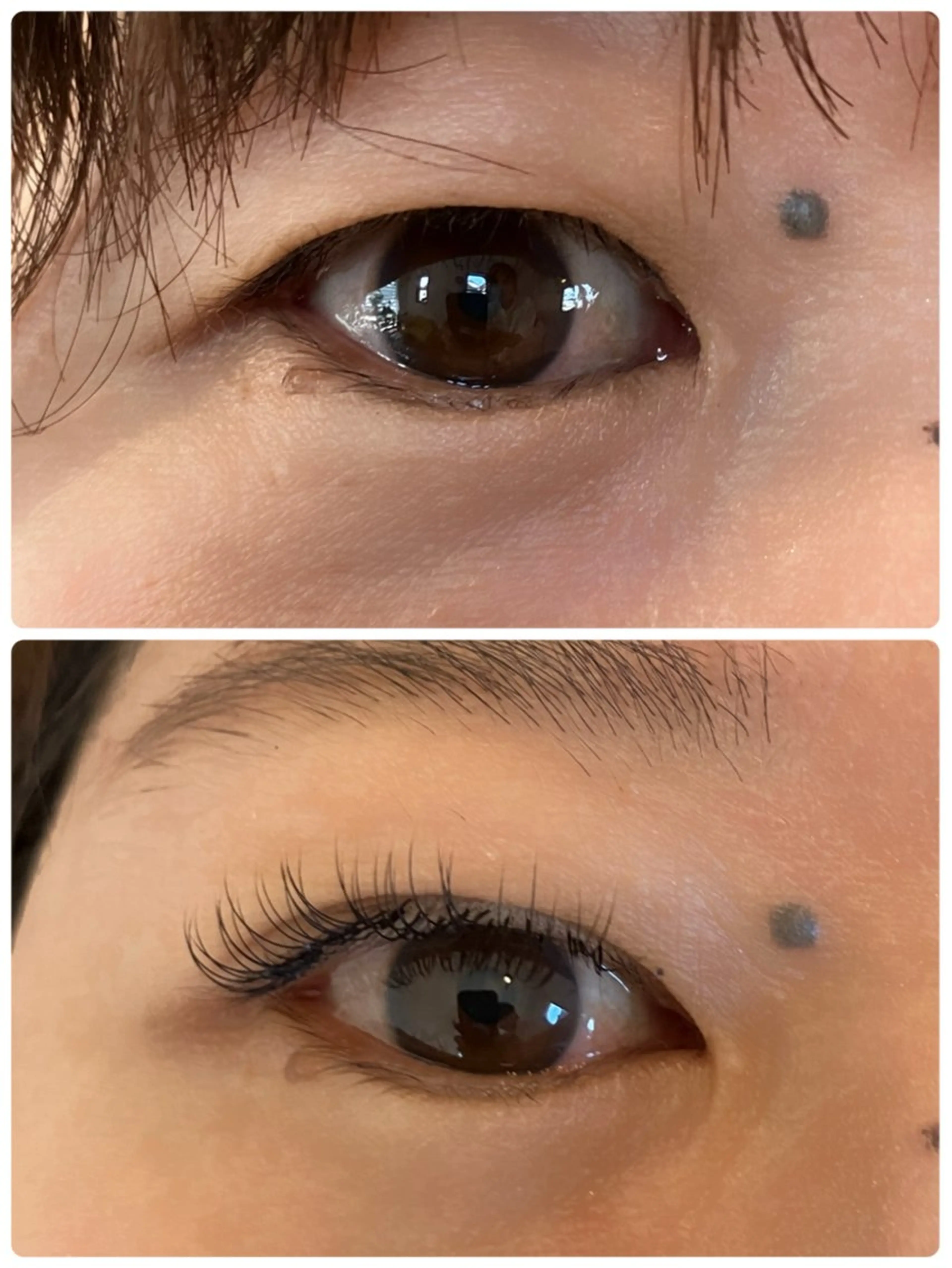 マツエク・マツパ まつげ専門店 M's  Roomのマツエク・マツパデザイン