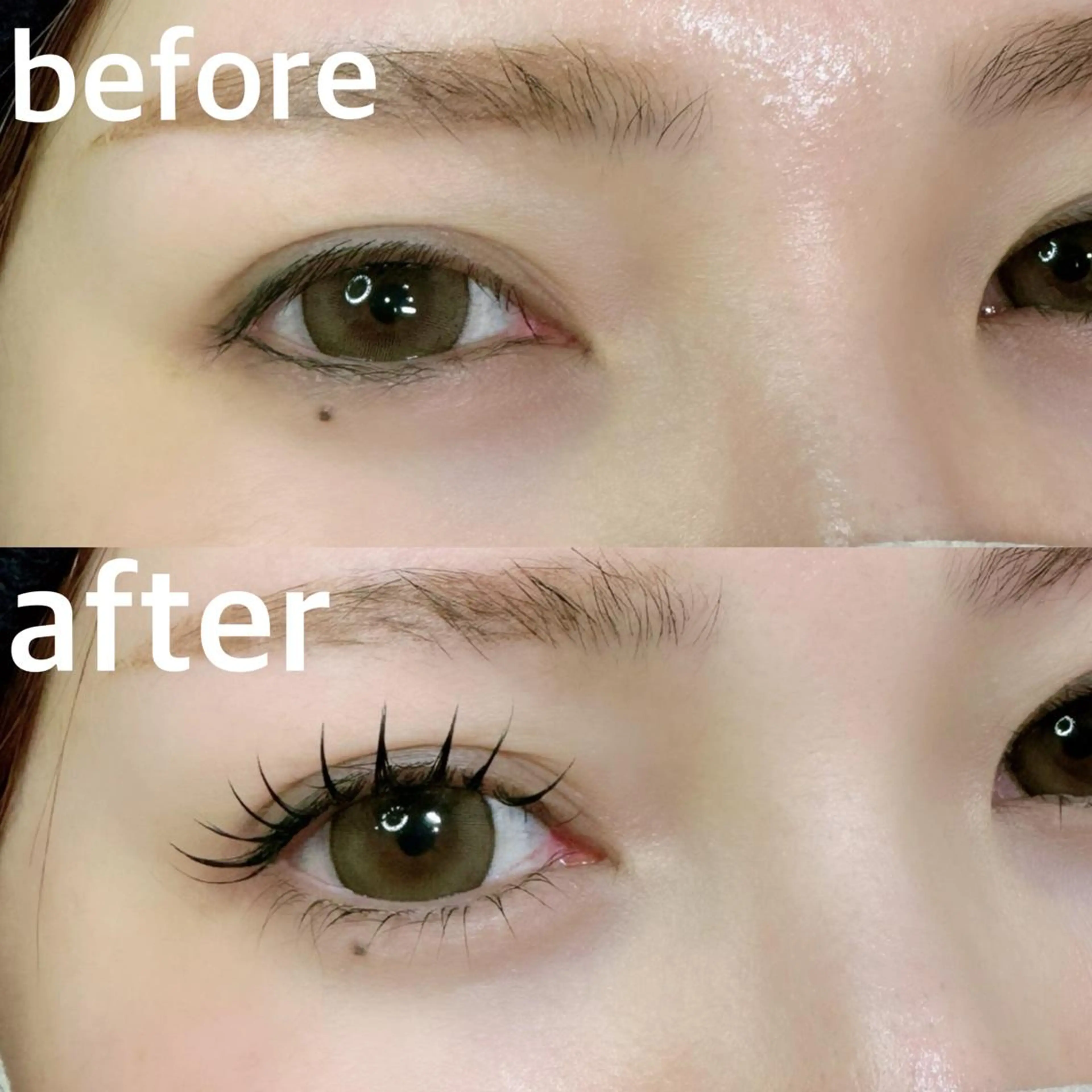 マツエク・マツパ Bunny eyes NEWOTANI博多のマツエク・マツパデザイン