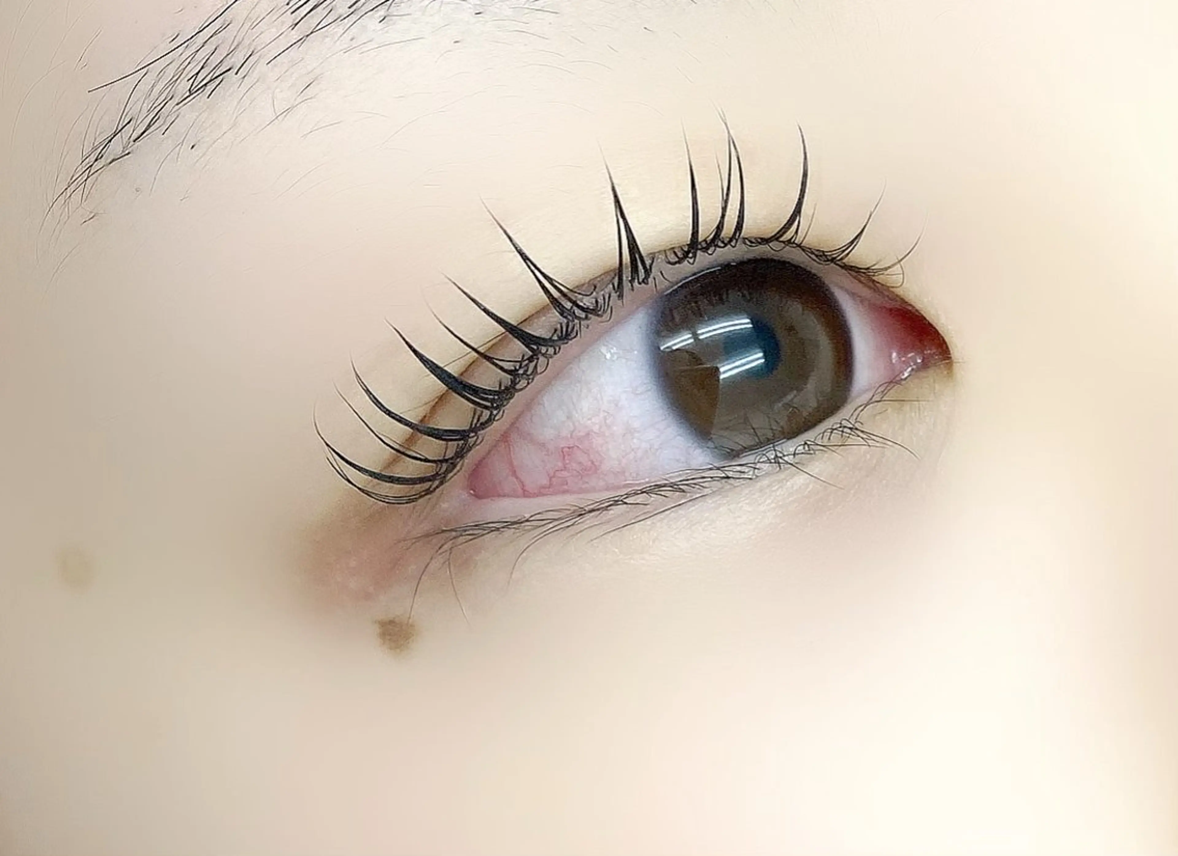 マツエク・マツパ Dカール マツパ BECKY LASH 芹澤のマツエク・マツパデザイン