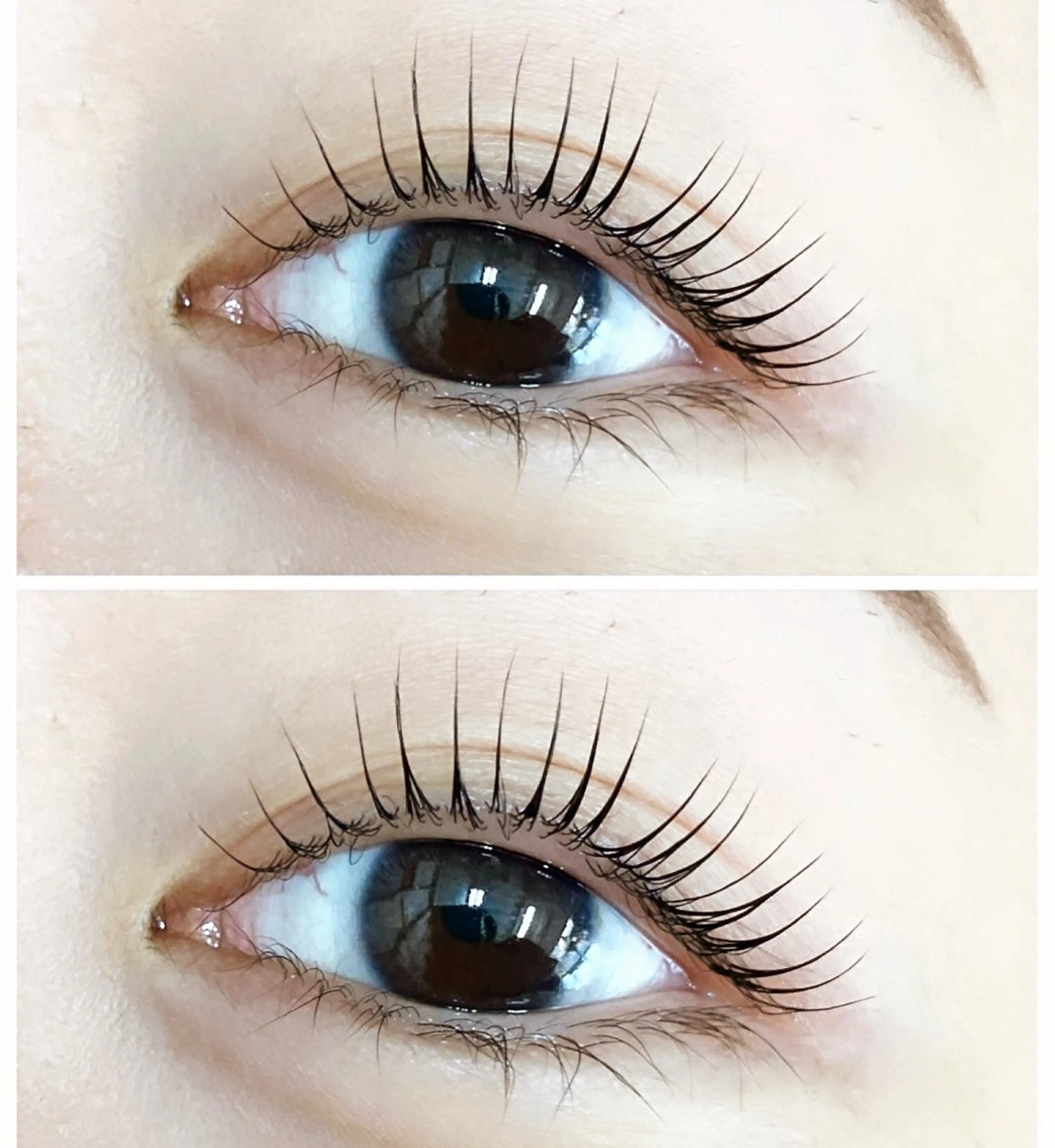 マツエク・マツパ マツパ tomonail eyelistのマツエク・マツパデザイン