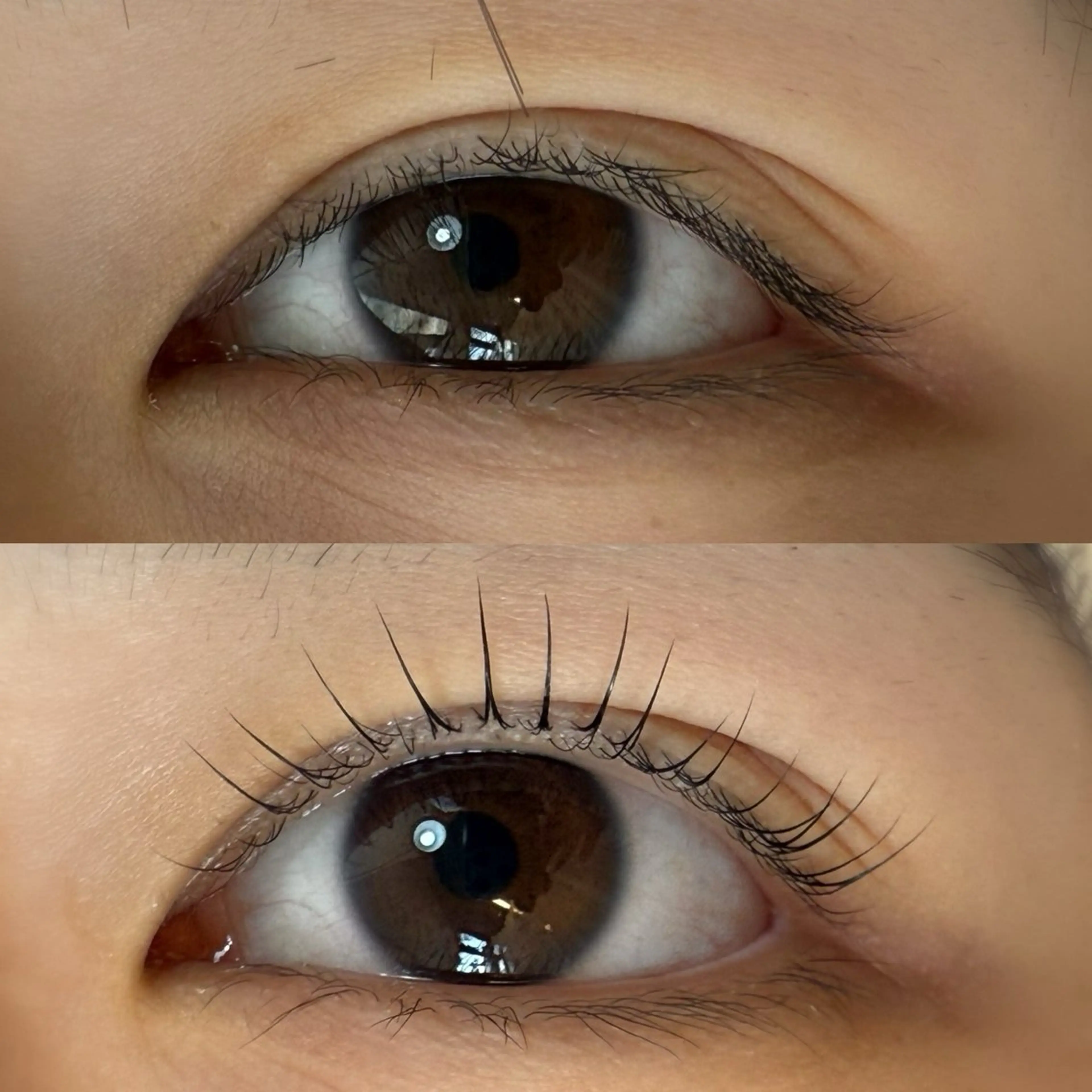 パリジェンヌのワンランク上♪似合わせラッシュリフト(まつ毛パーマ)🫧デザインも選べる✨の写真